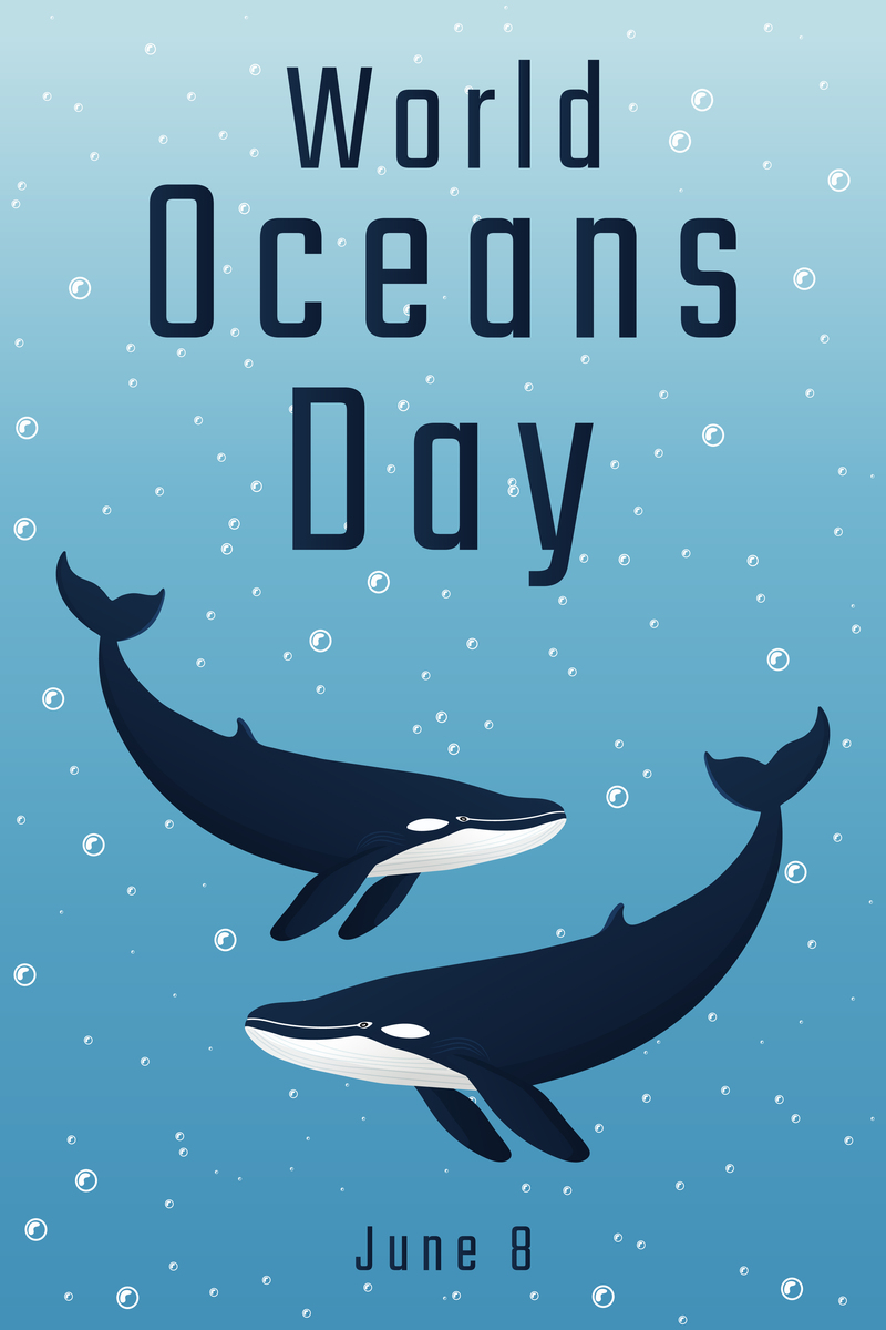 My Favorite Animal: The Dolphin (Besides Dogs and Elephants)