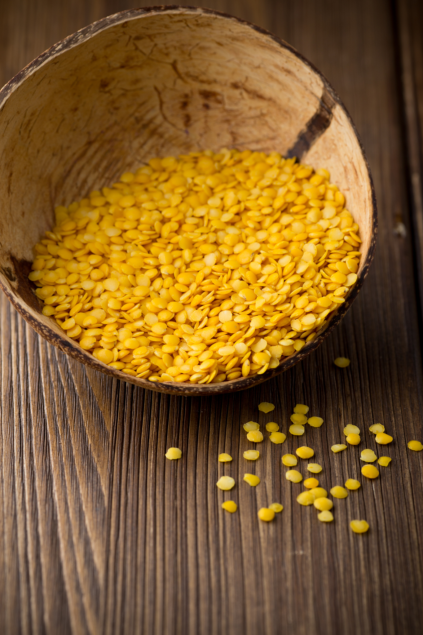 lentil.