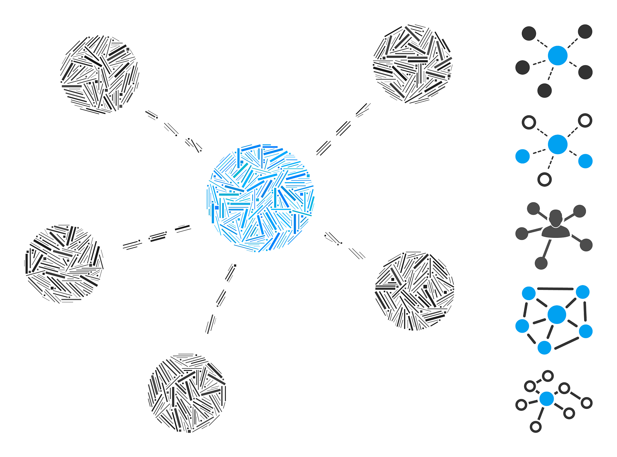 共表达网络数学模型：揭示基因表达协同调节作用的利器