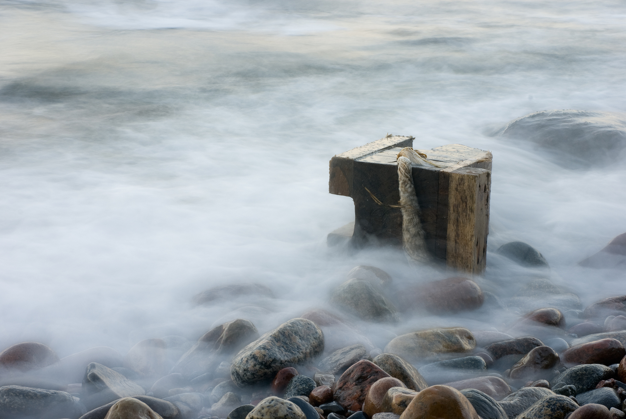 the cold sea