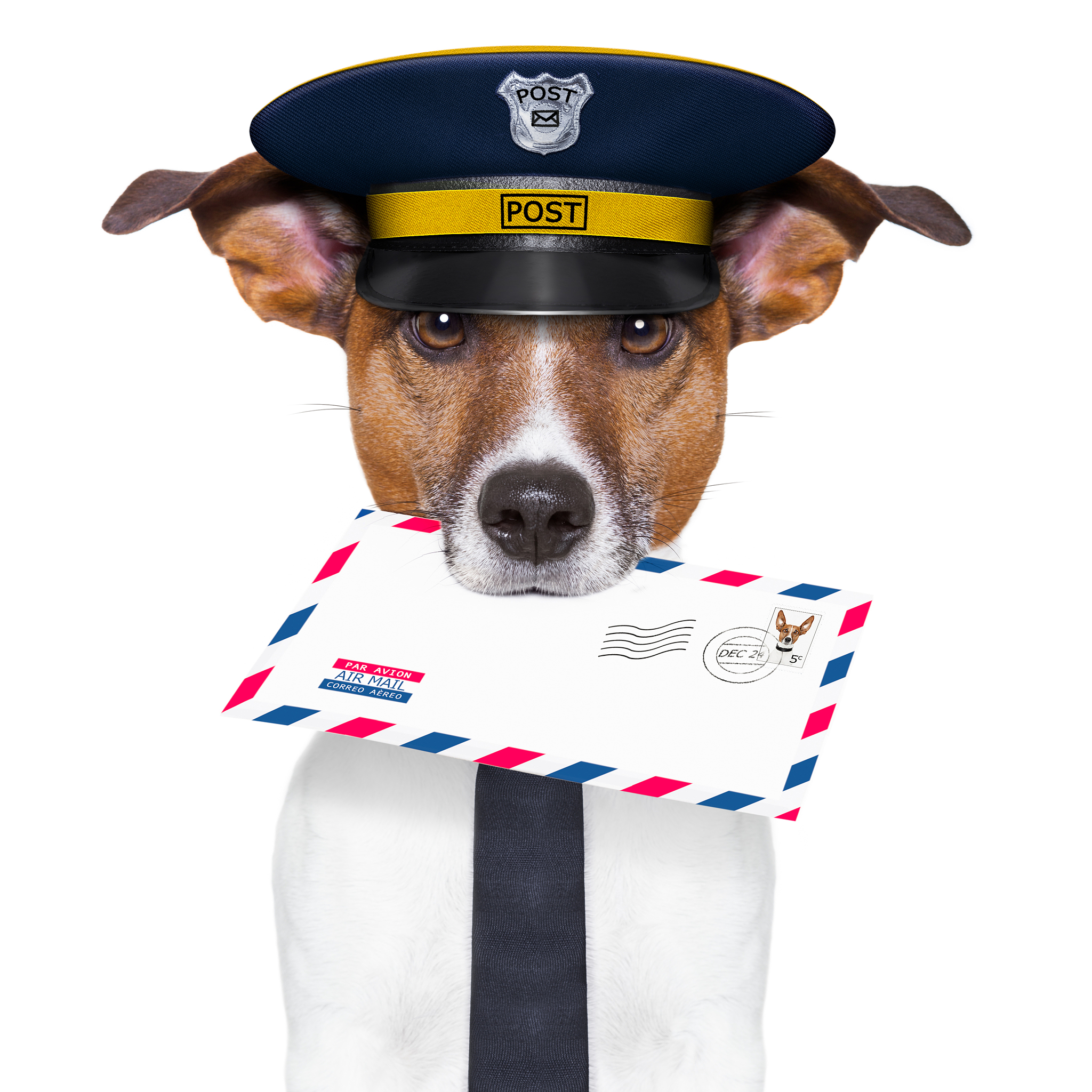 Dogecoin 狗狗头像让我更自信！