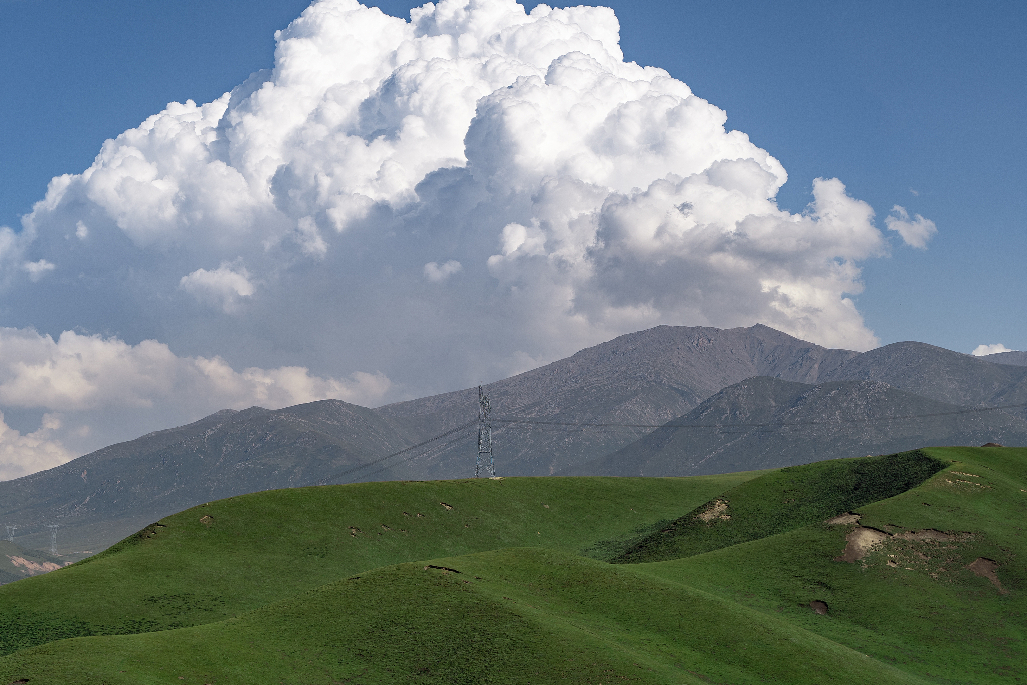 青海高中数量及特色介绍
