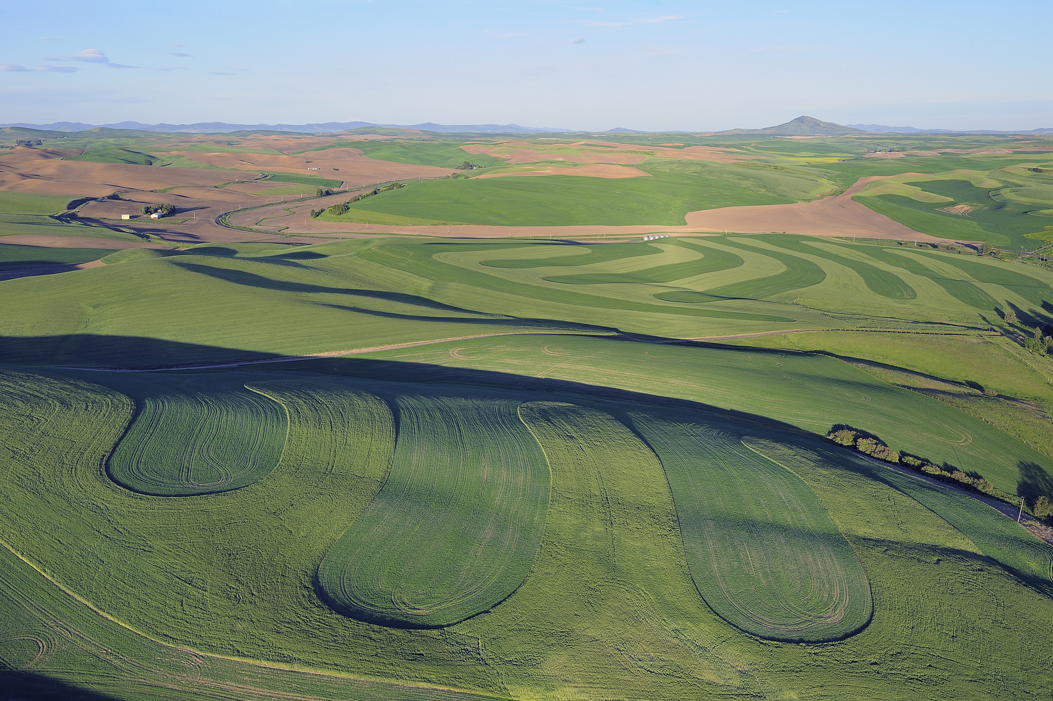 pattern in fields, aerial shot.