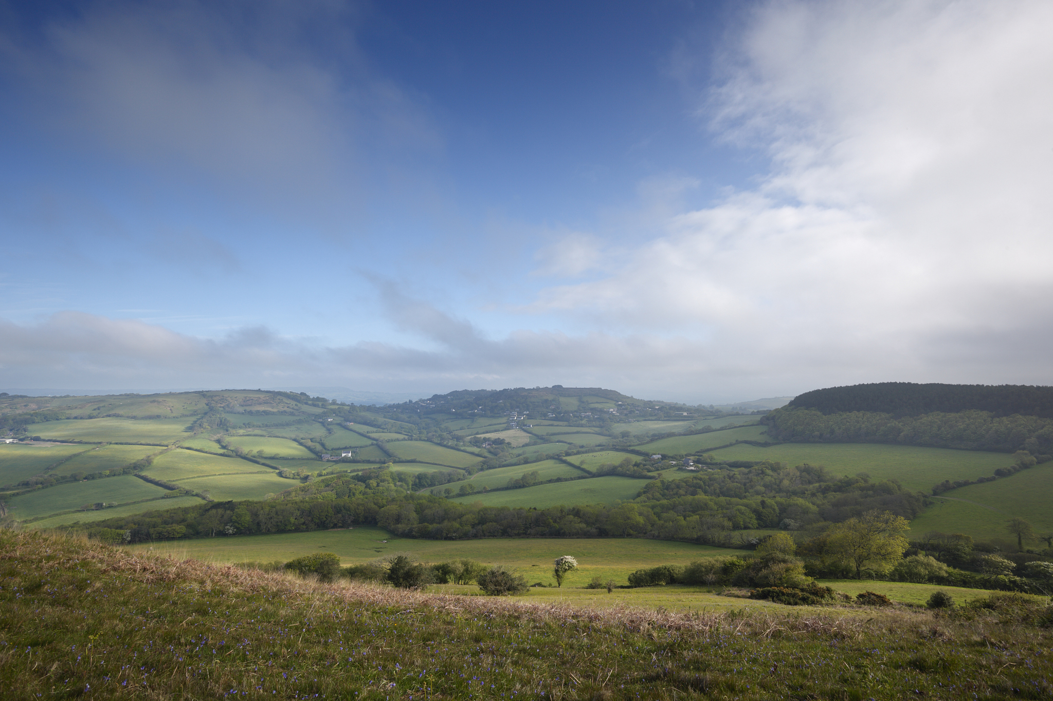 countryside