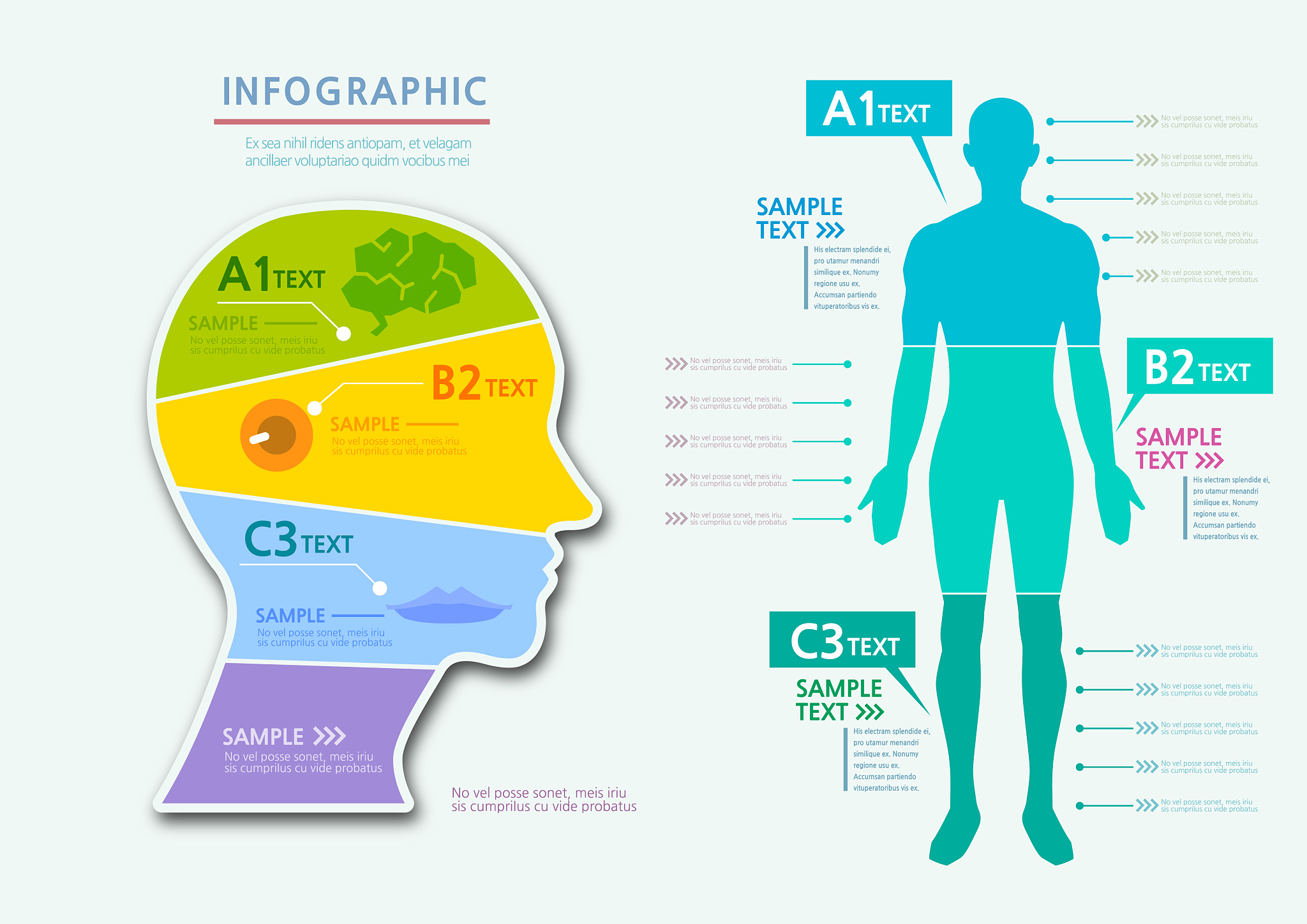 你今天晚上吃了什么