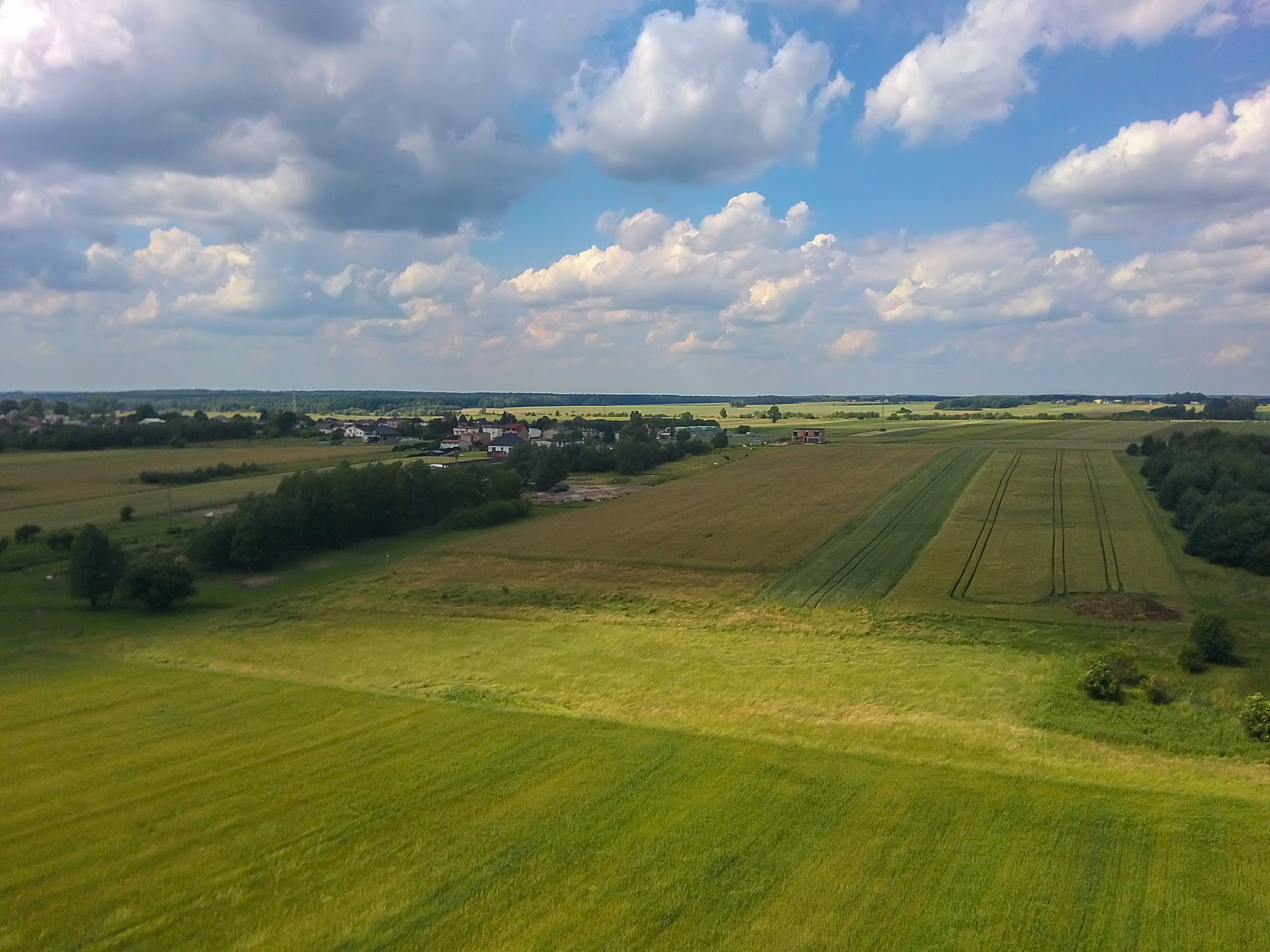 wind turbines in rural landscape