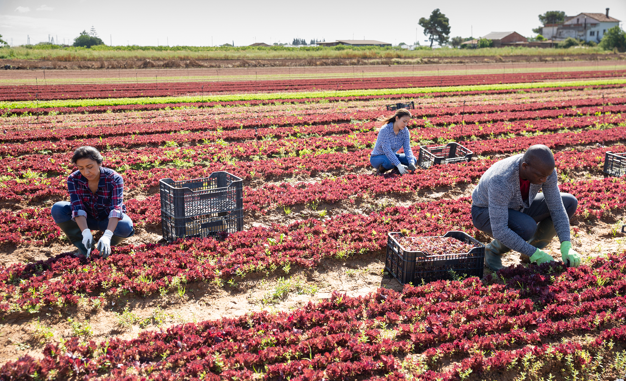 曲靖农业学校2019年五年制普通专科招生报名