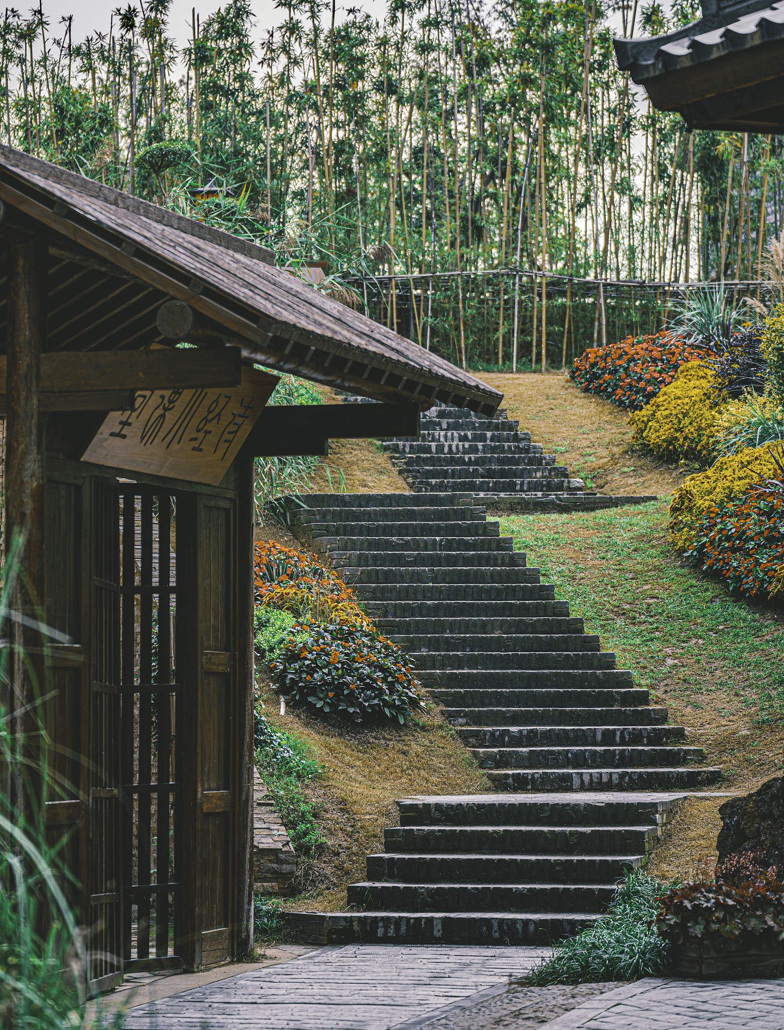 女孩取几个诗经里的做名字