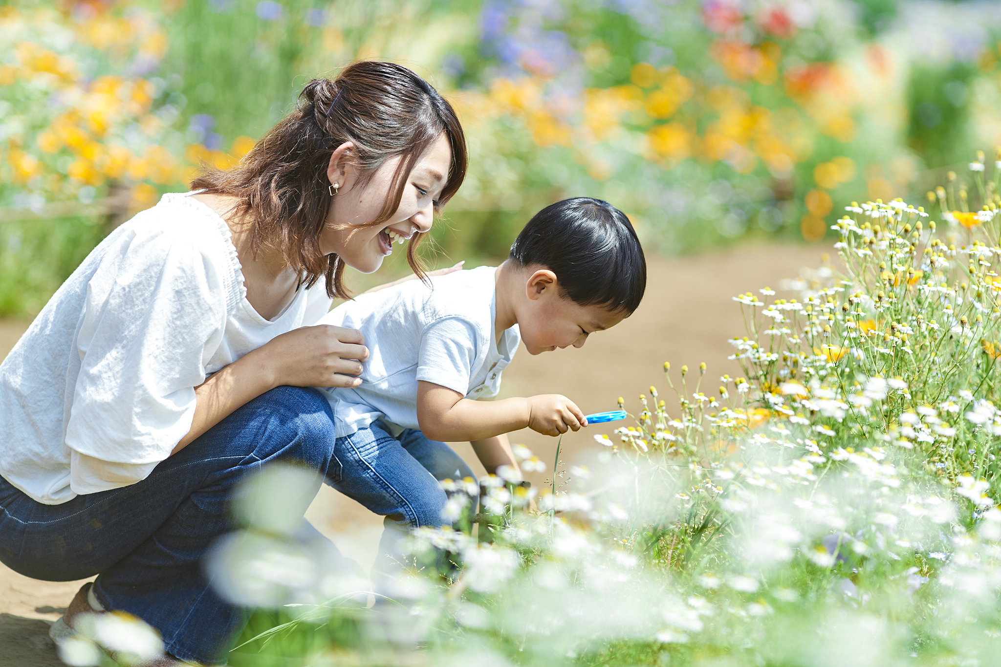 温暖我的小事加点字数