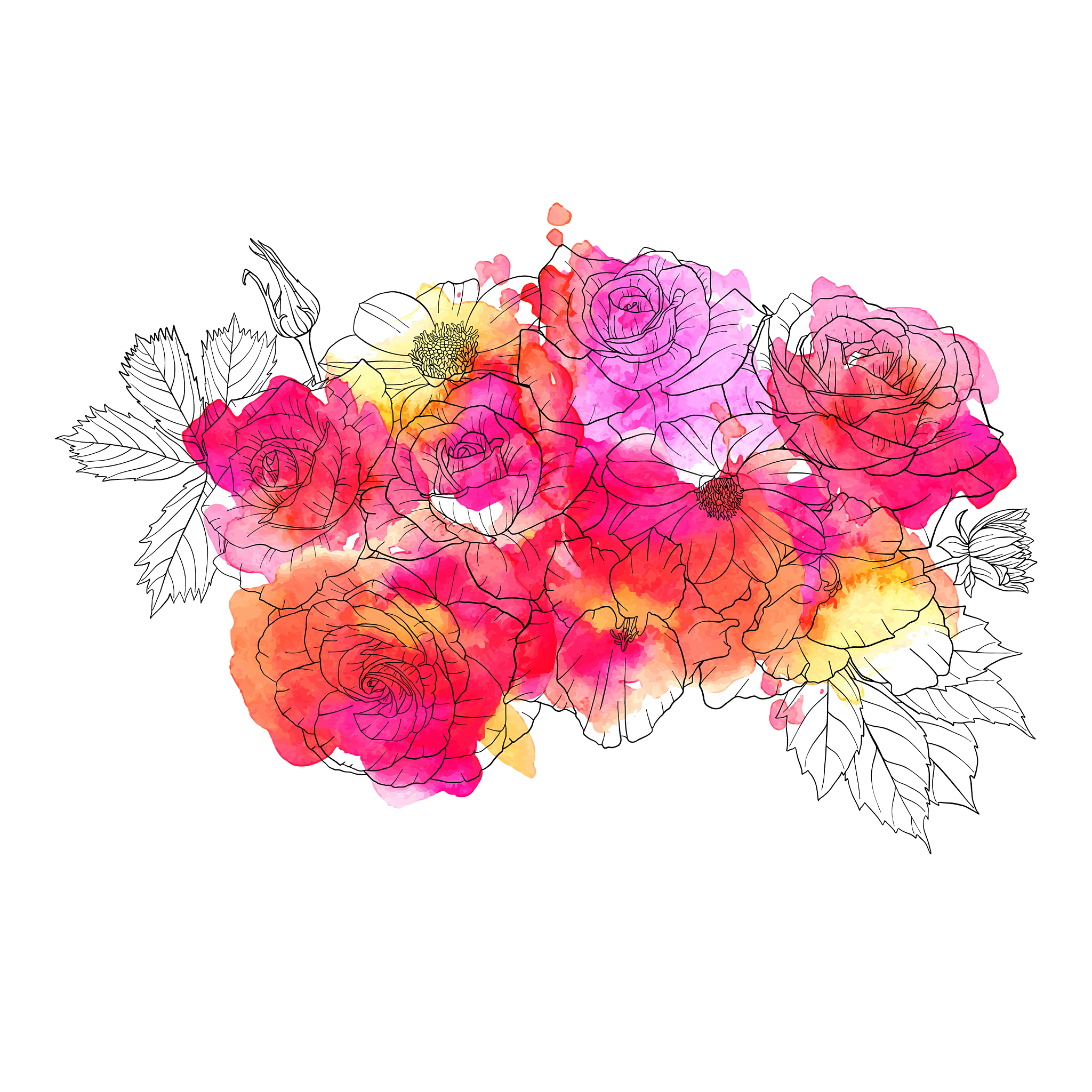 drawing flowers