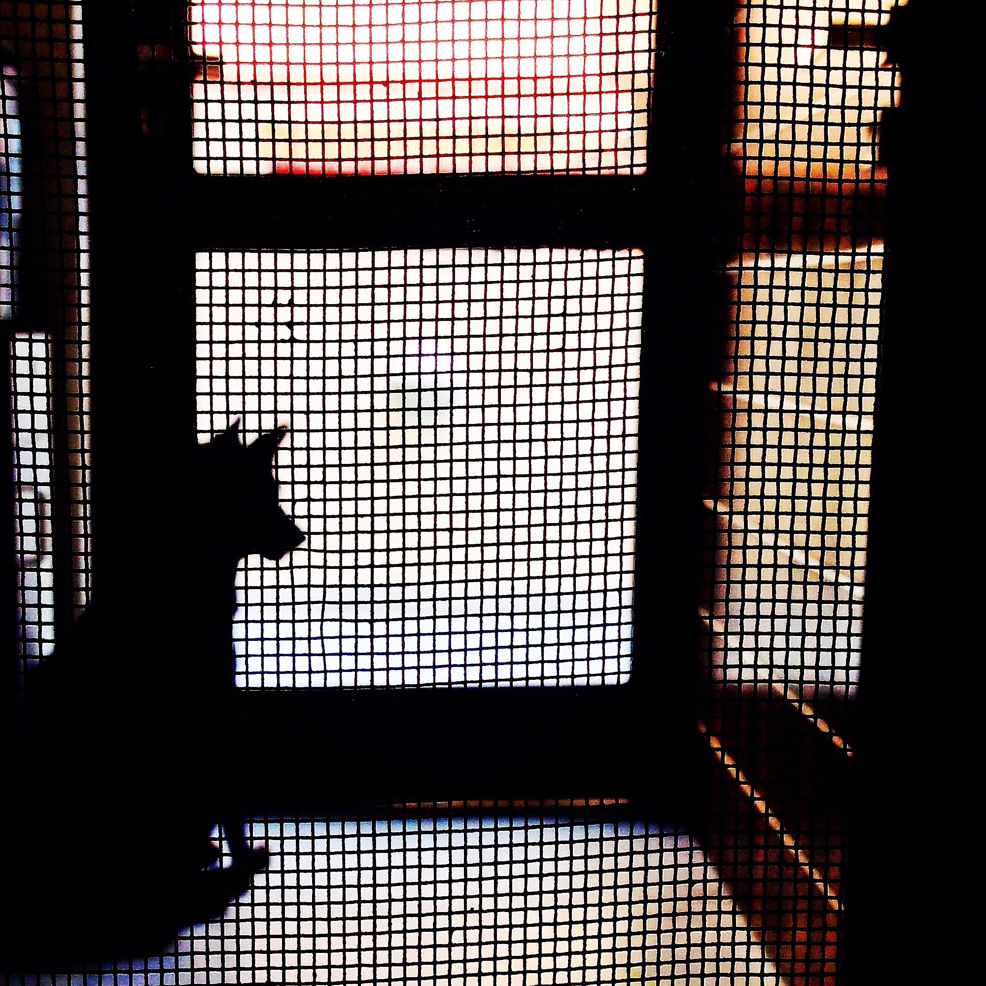 如何使用透视变换将图片上的围棋棋盘变正并保留黑色区域