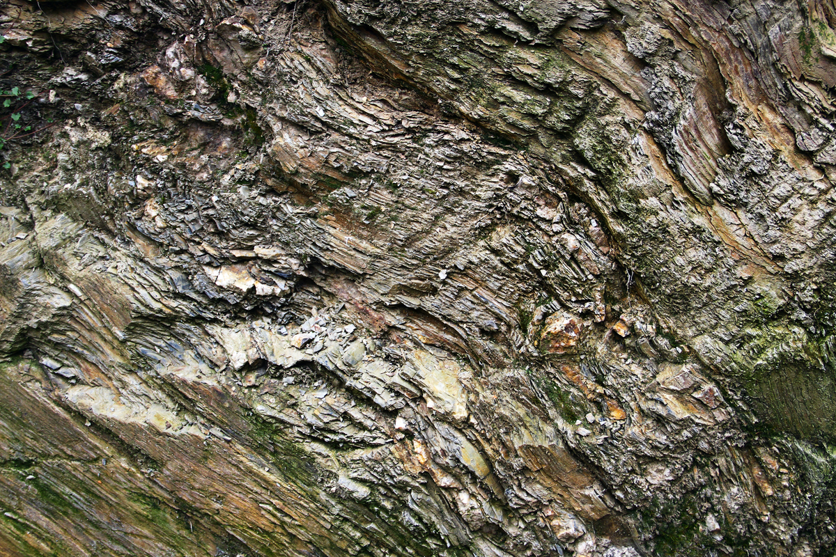 侵入岩构造特点及识别 - 流纹构造