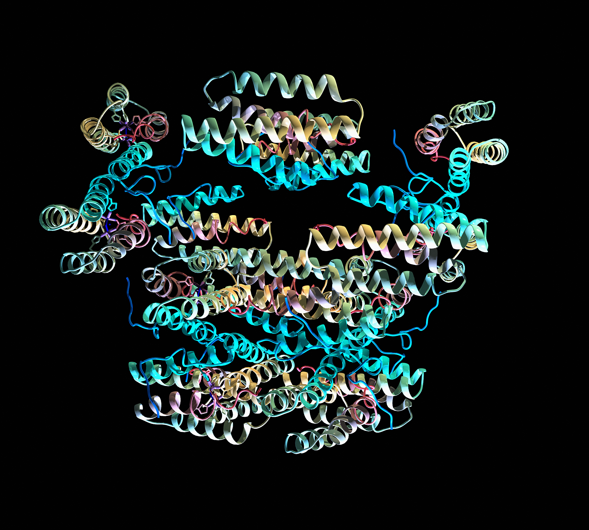 酶的合成：从 DNA 到蛋白质的转录和翻译