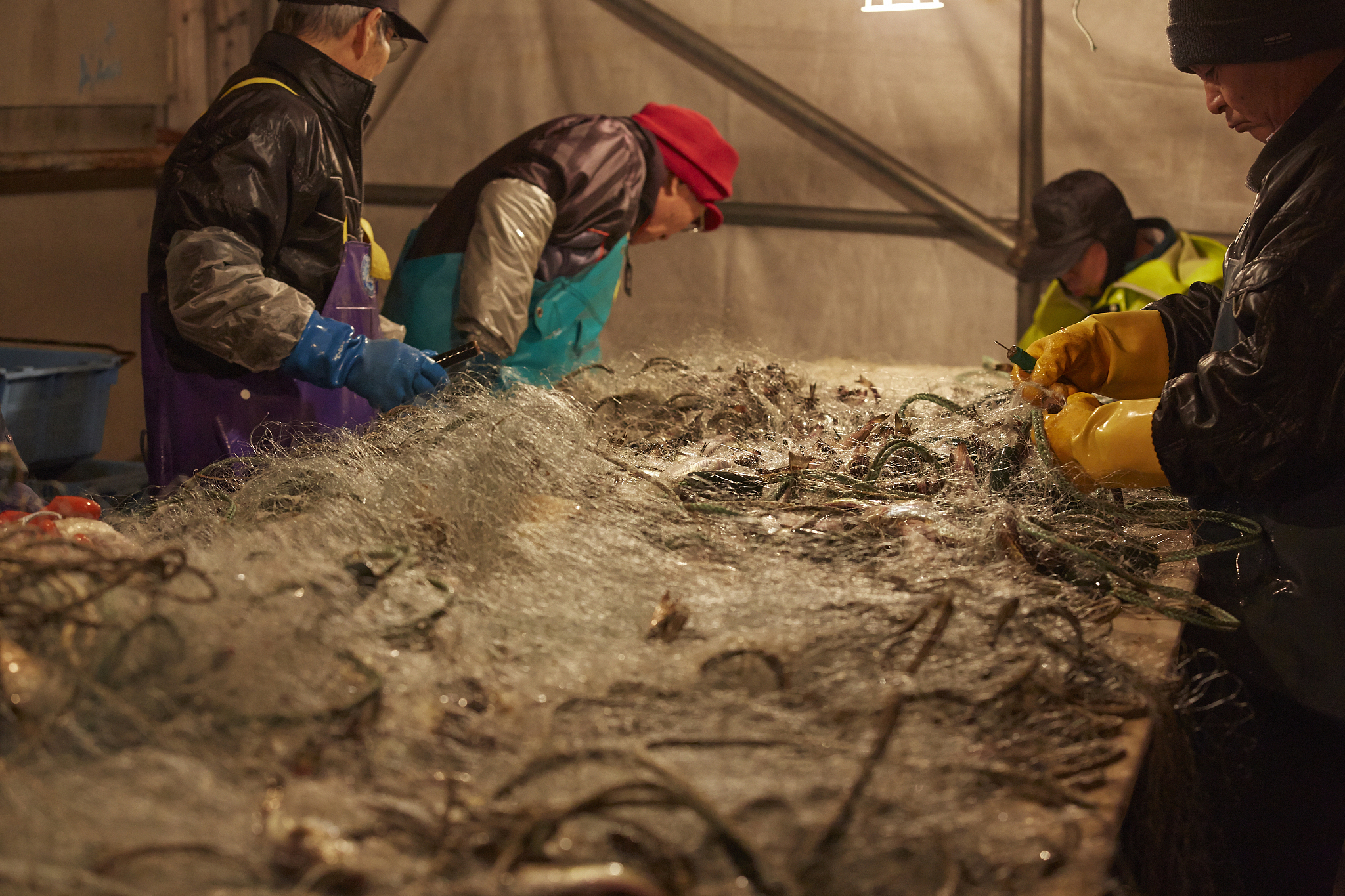 渔业资源与渔政管理专科课程有哪些？