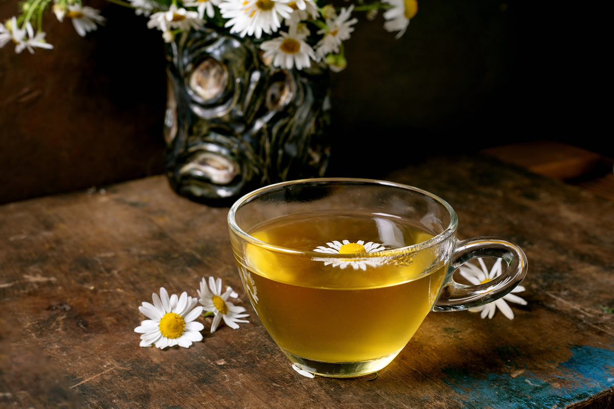 白菊花陈茶是什么意思