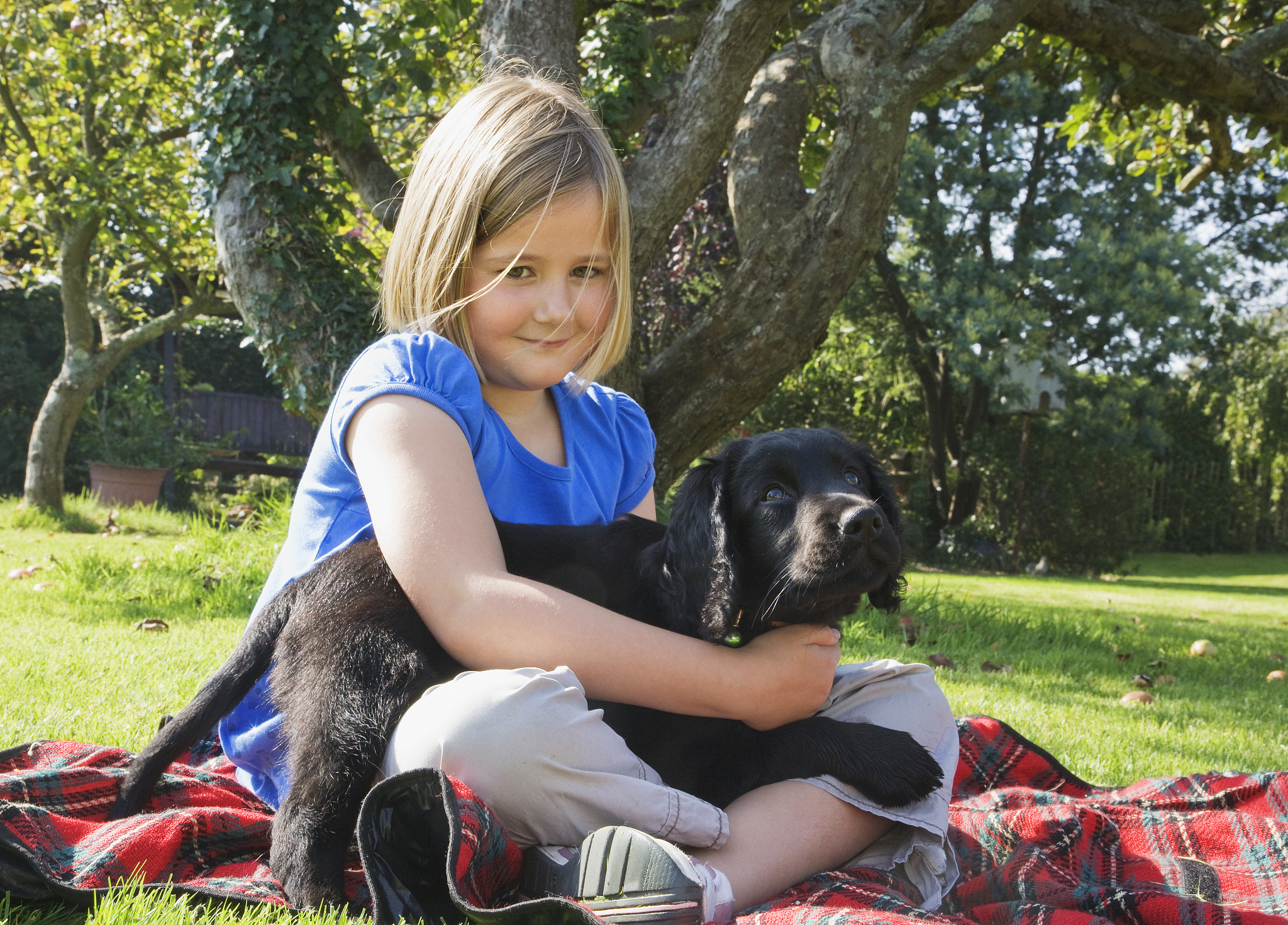 Woman Rescues Shivering Puppies From Rain, Finds Loving Homes For Them