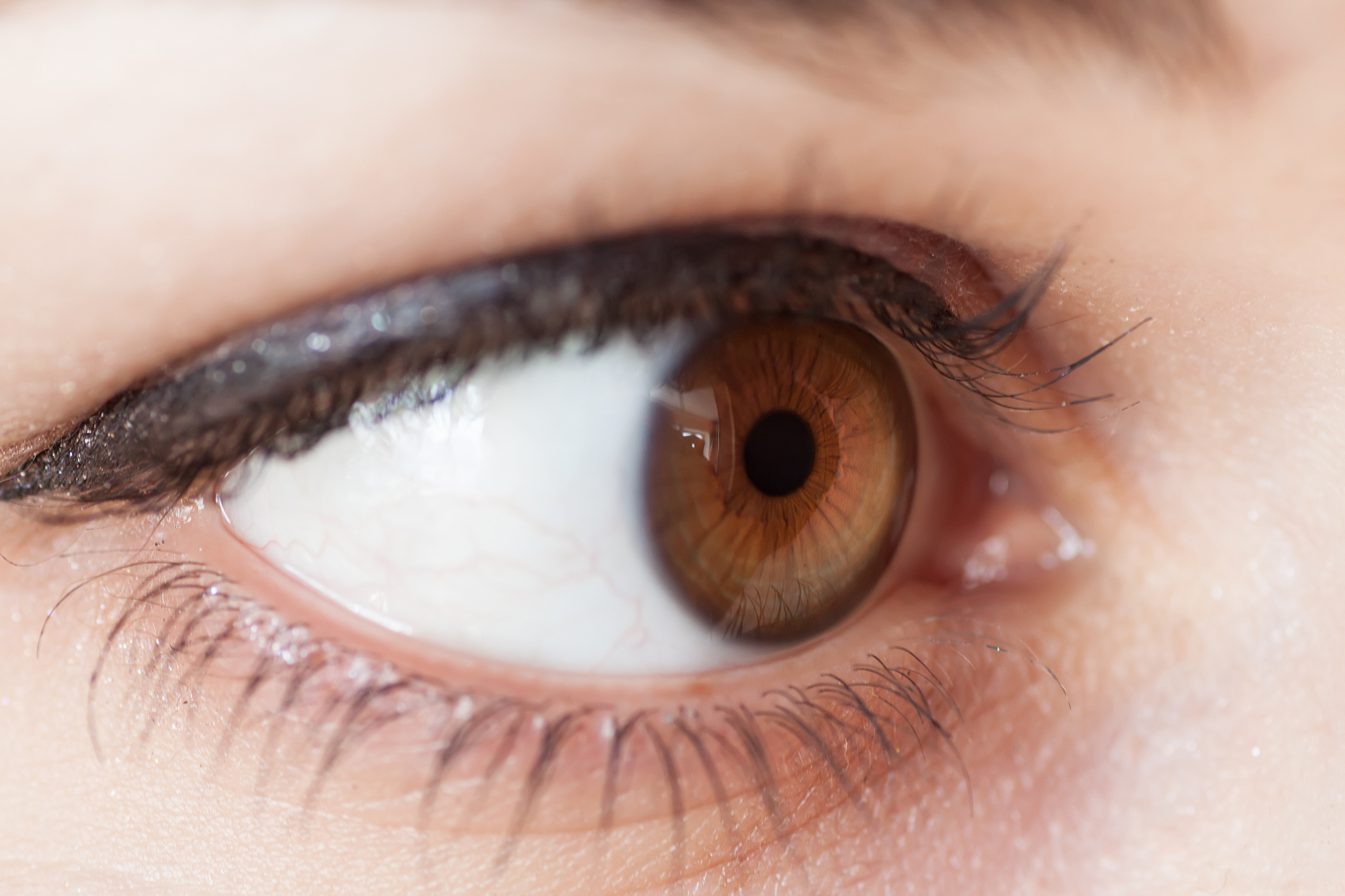 human eye. macro shot.
