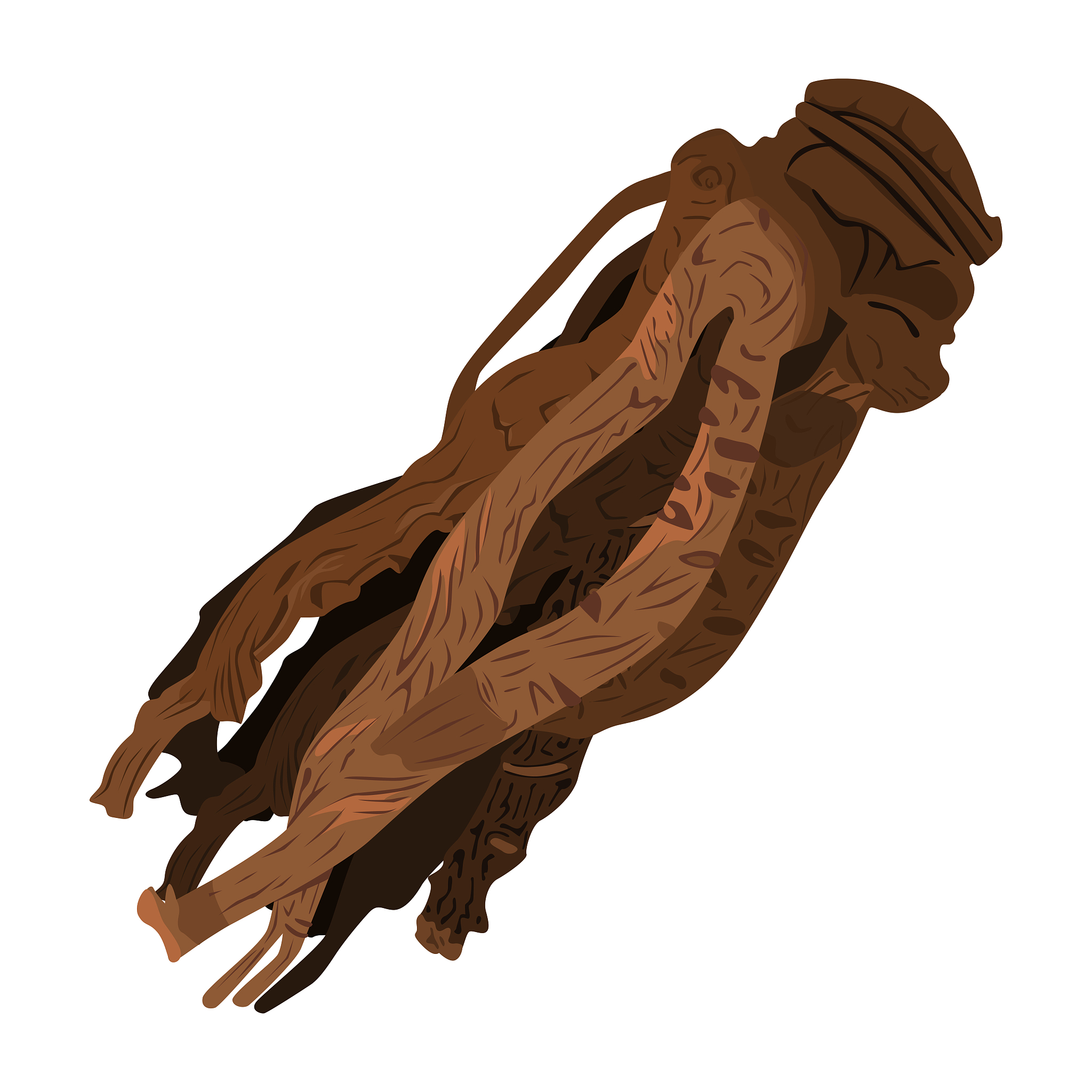 中医怎么增强体内循环