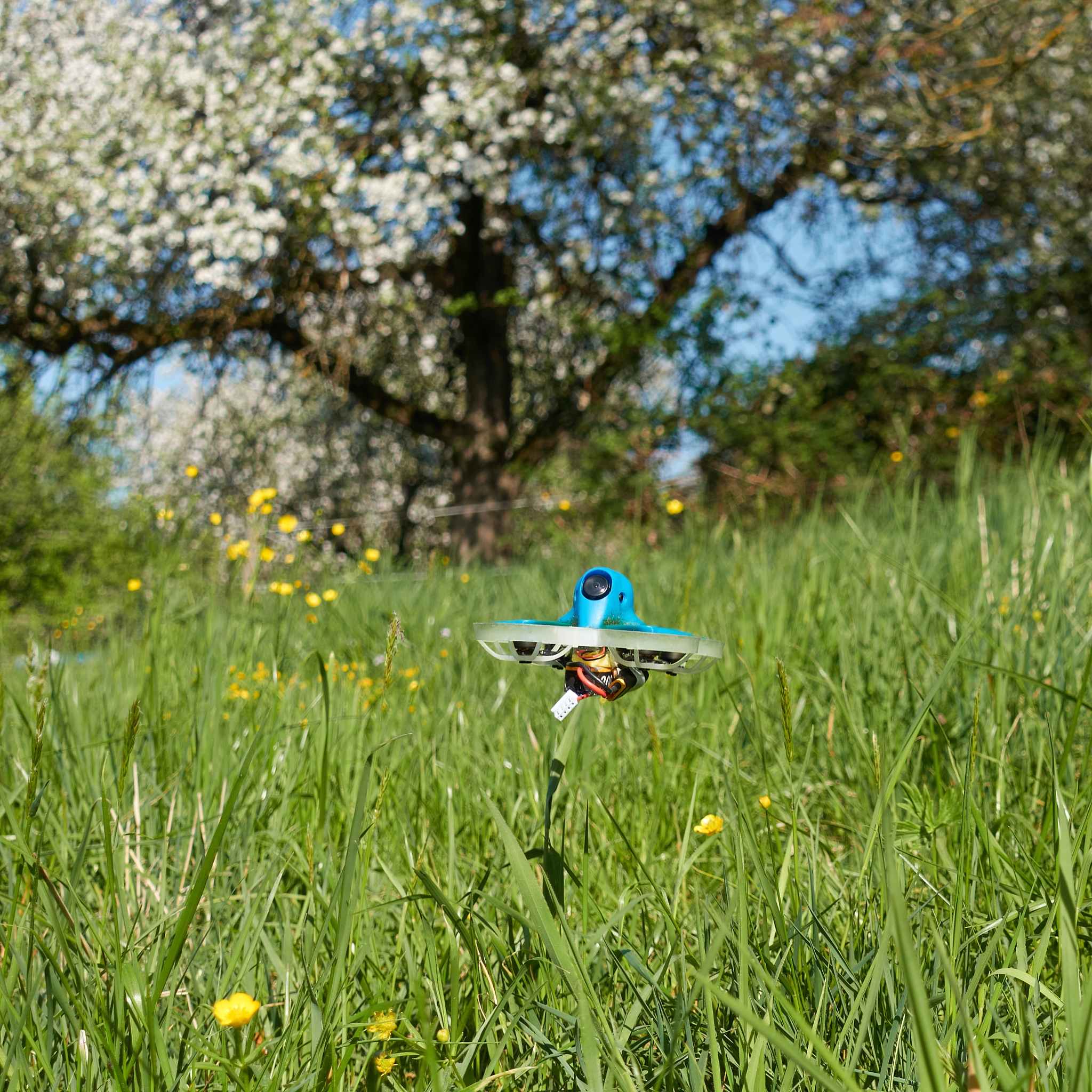 甘肃园林技术专业中专中职学校推荐：甘肃省农业职业技术学院等