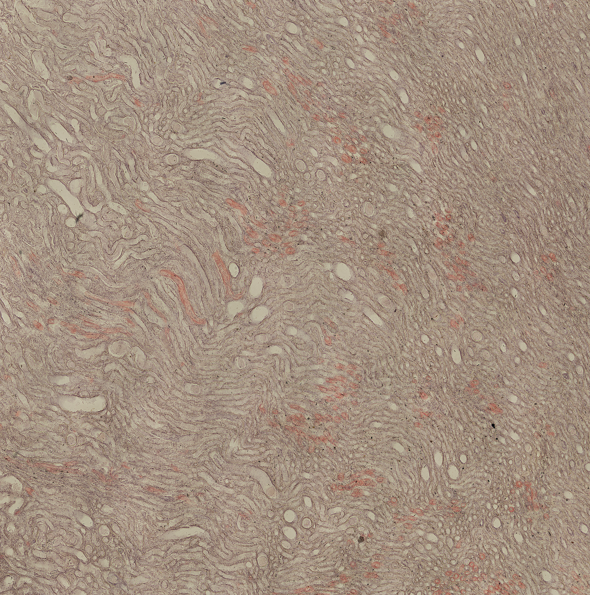 关于护理专业的基础知识你了解多少？