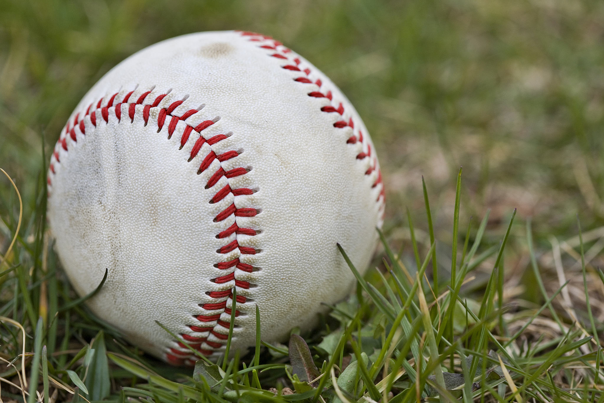 baseball in the grass - closeup