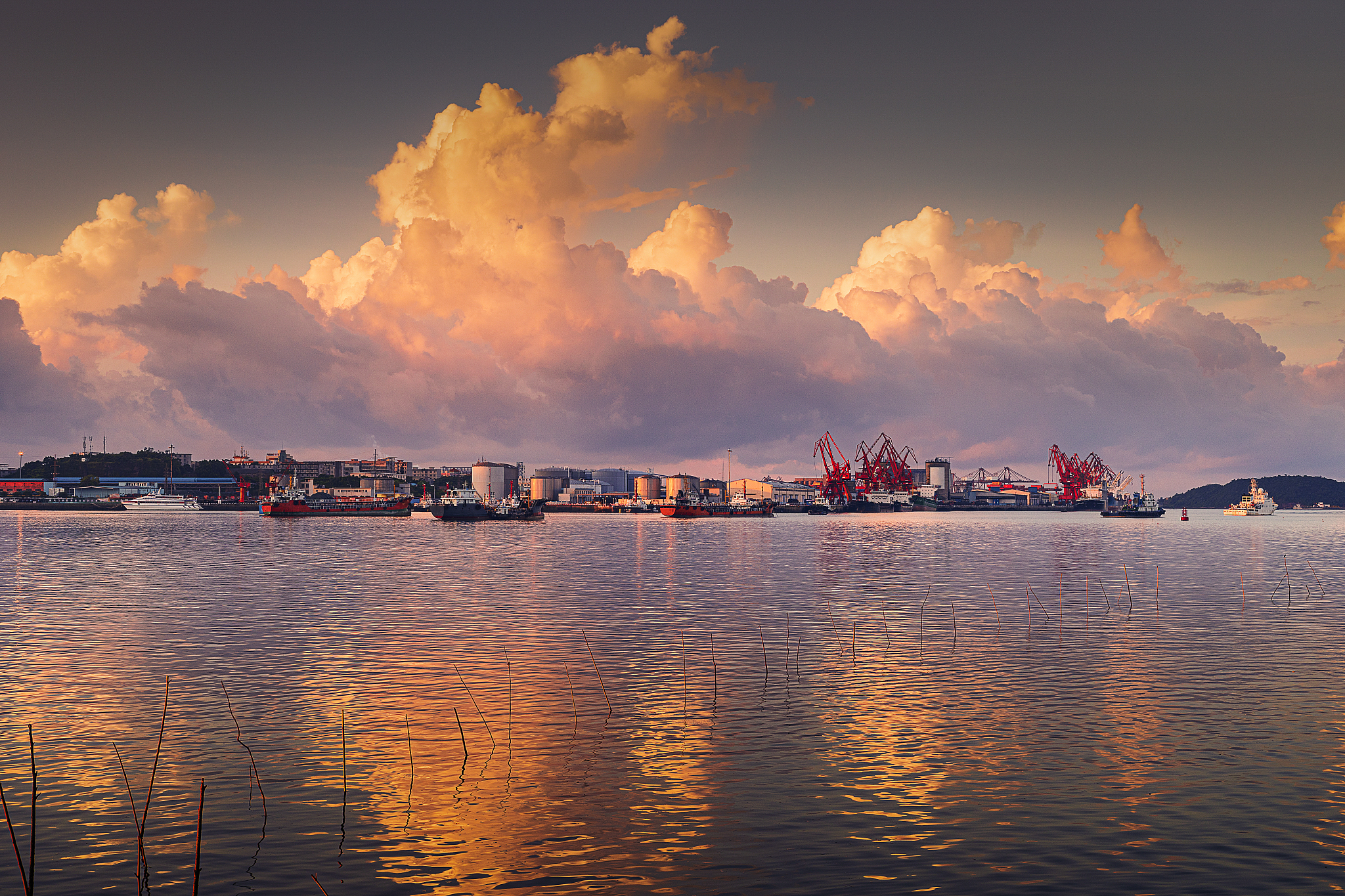 防城港高铁站服务电话