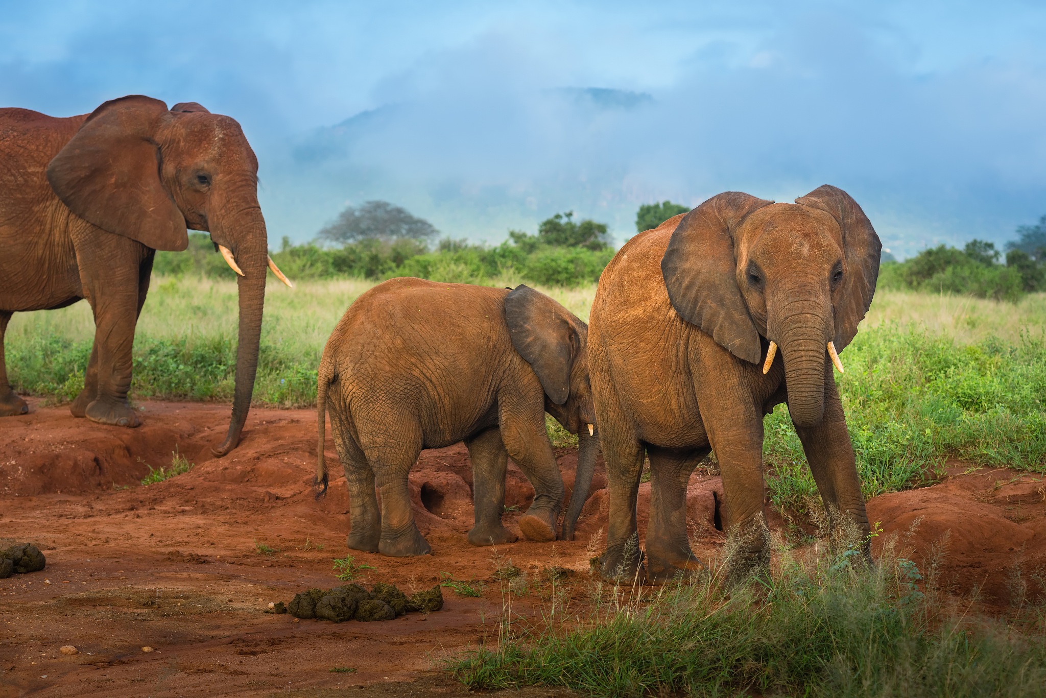 乌干达Radio One FM 90 - 坎帕拉最受欢迎的广播电台