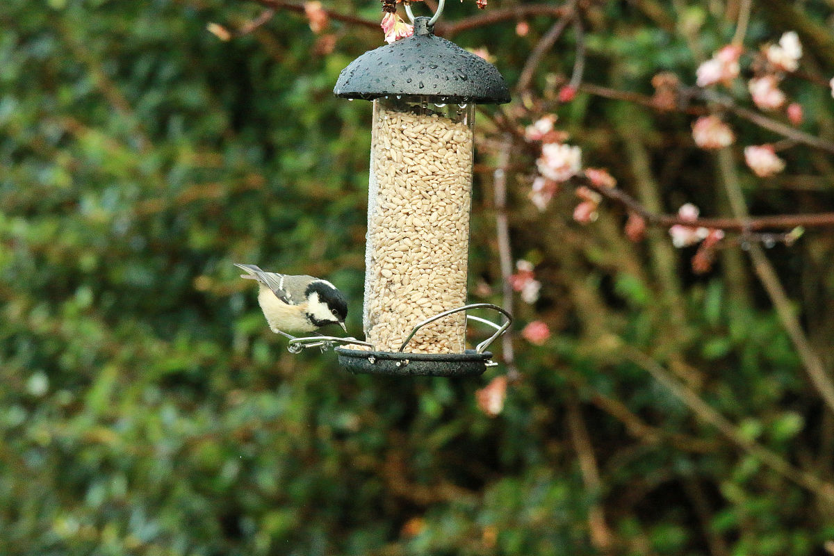 把这段话使用中文用不同的语言表达方式说出同样的内容并深入研究不同催化剂的催化机理为煤催化热解提供理论基础。另外煤间接催化热解工艺的开发可借鉴煤固体热载体快速热解的经验是煤催化热解工艺的主要发展方向之一。在煤固体热载体煤间接催化热解工艺的研究中催化热载体的开发是重点之一。天然矿石是具有催化功能的良好催化热载体因其耐热性好、物理性质稳定、价格低廉是催化热载体开发的重点目标。另外开发固一固高温快速分离技