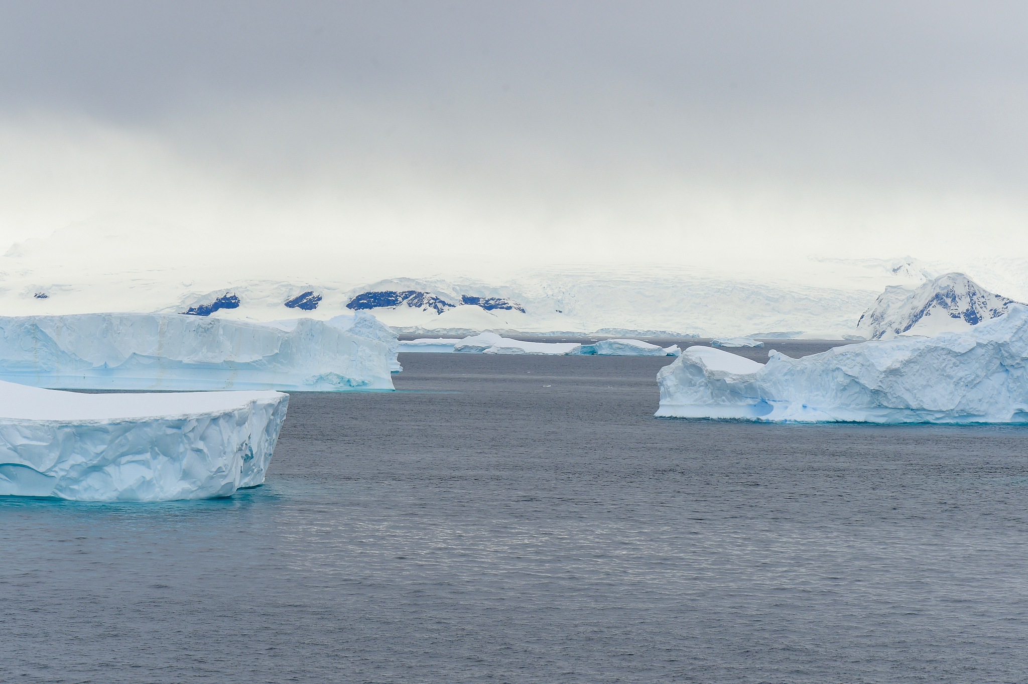 antarctica