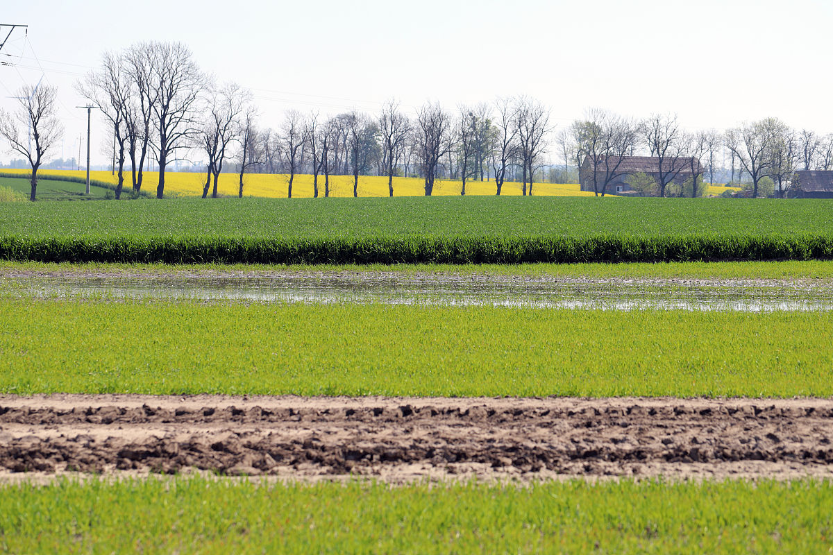 曲靖农业学校2019年五年一贯制大专计划内招生简章