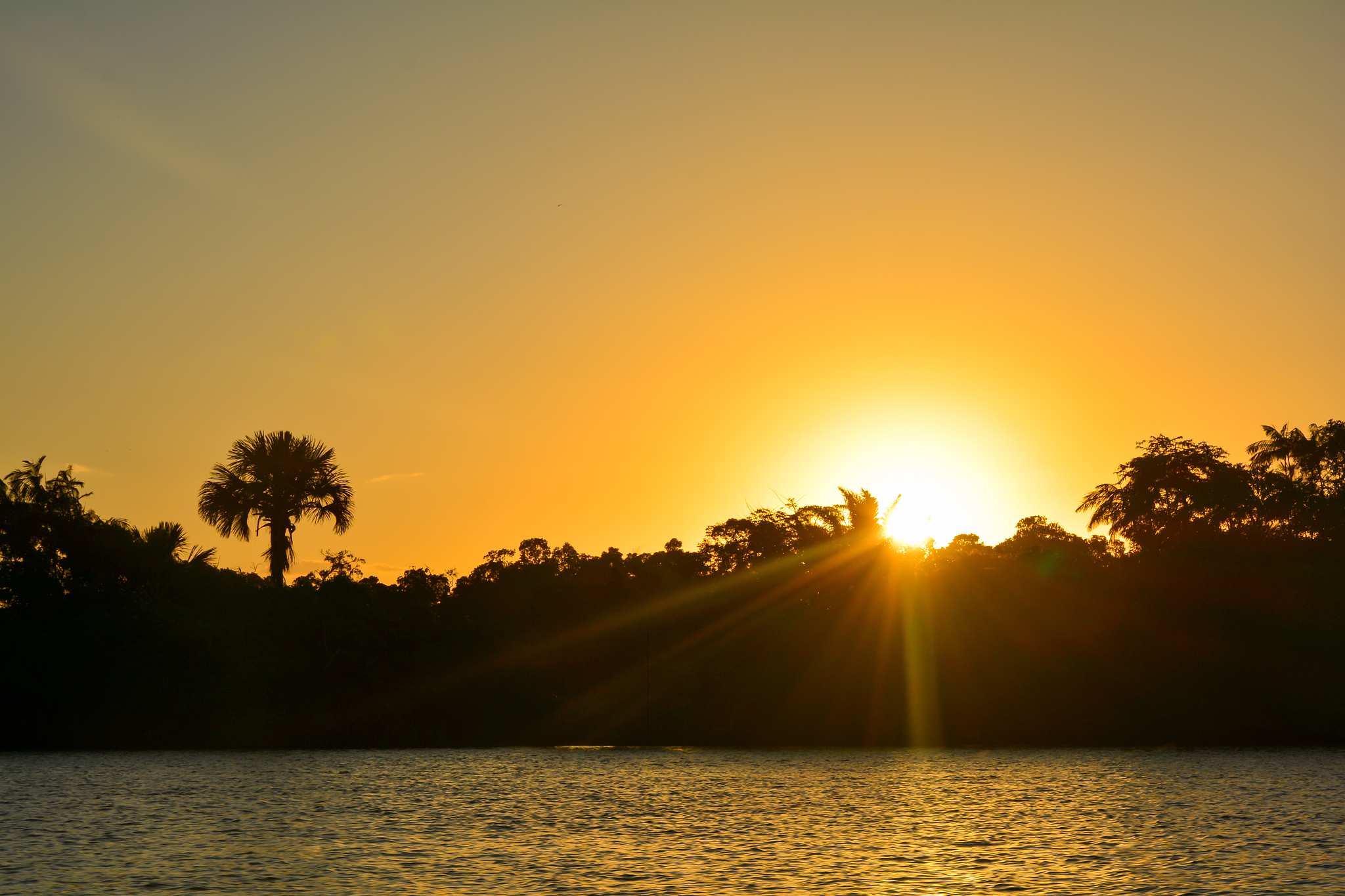 看风景，心灵的放松之旅：我的100字感悟