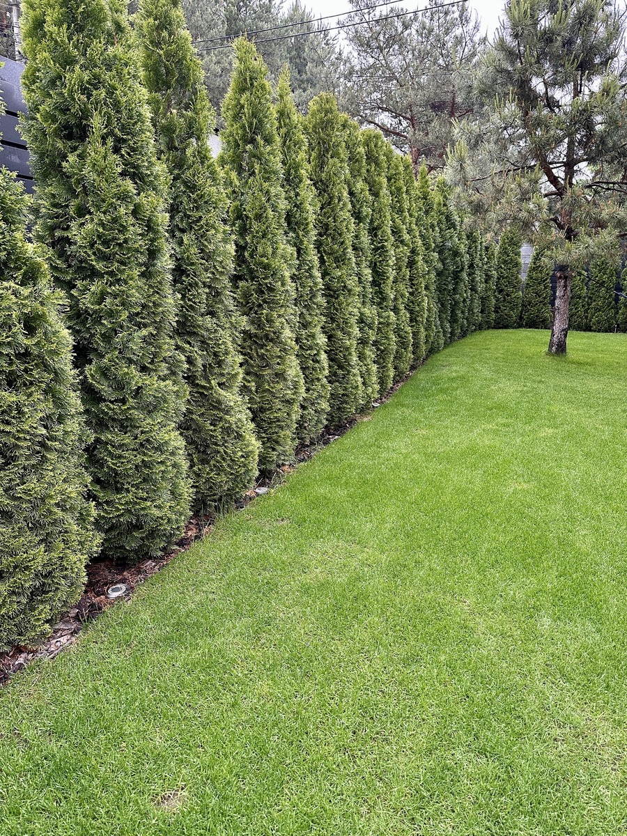 670 平方米草皮交付成功！即使下雪也能保持美丽