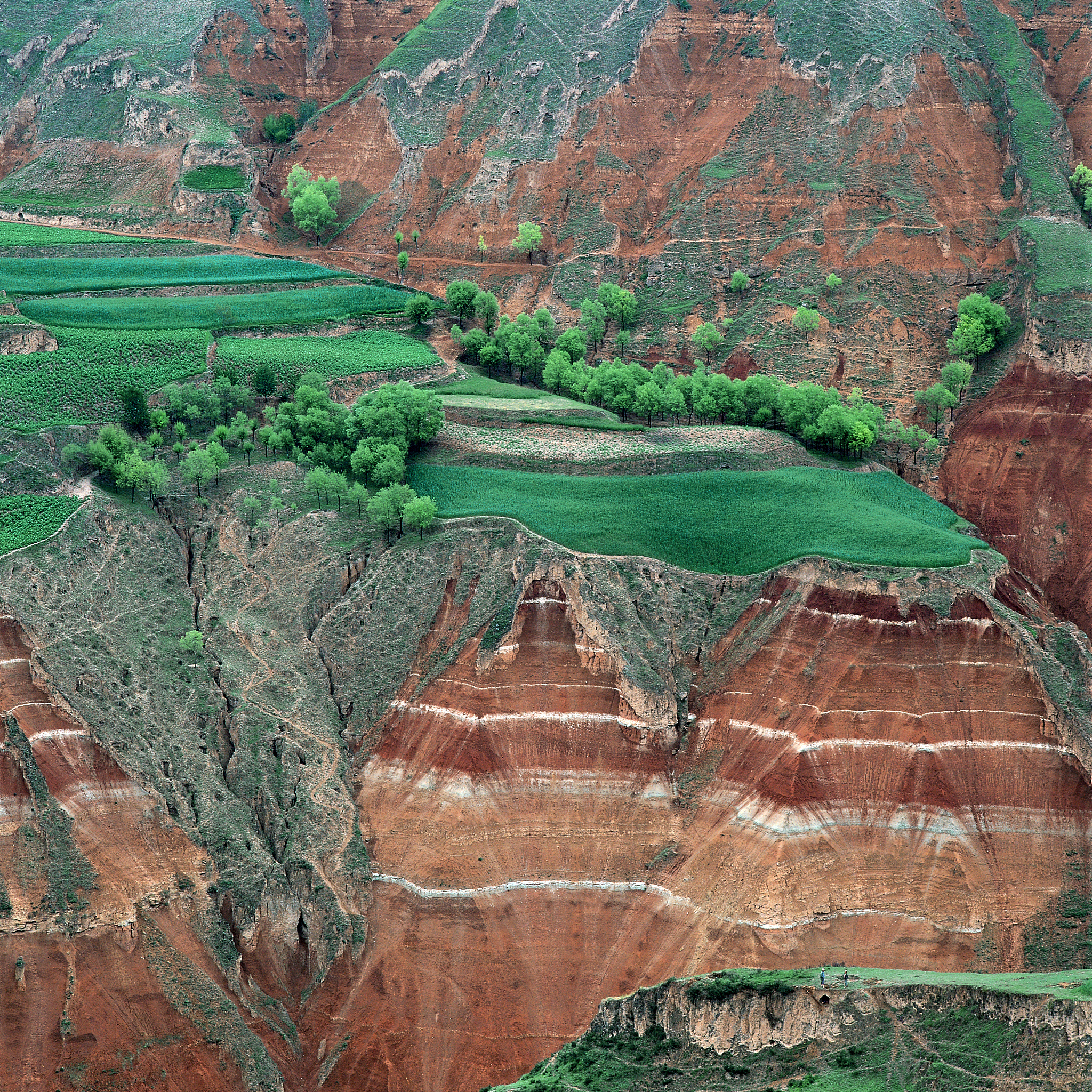 黄土风貌笔墨探索国外研究方向