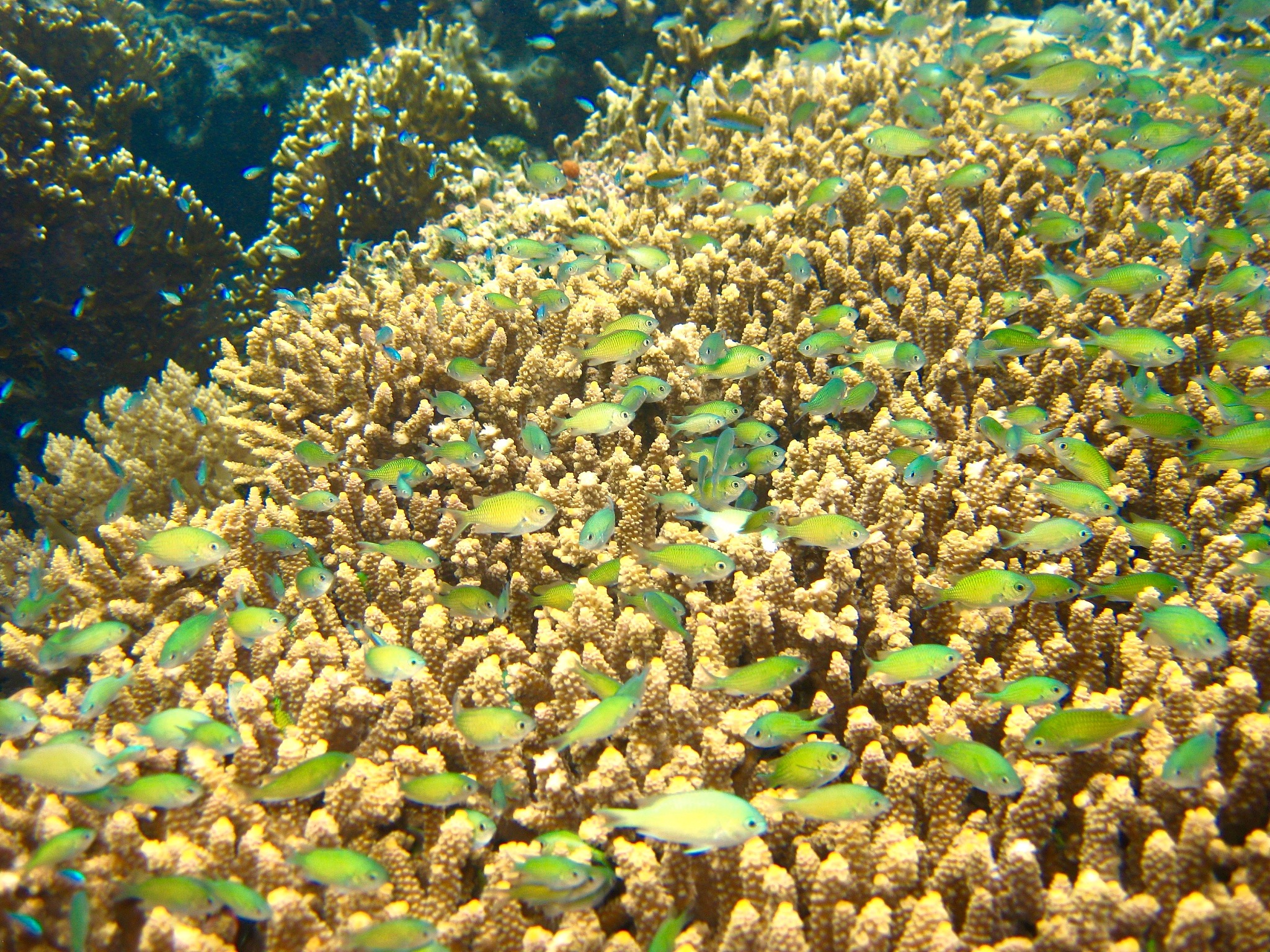 十二指肠溃疡：症状、原因及治疗 | 详细指南