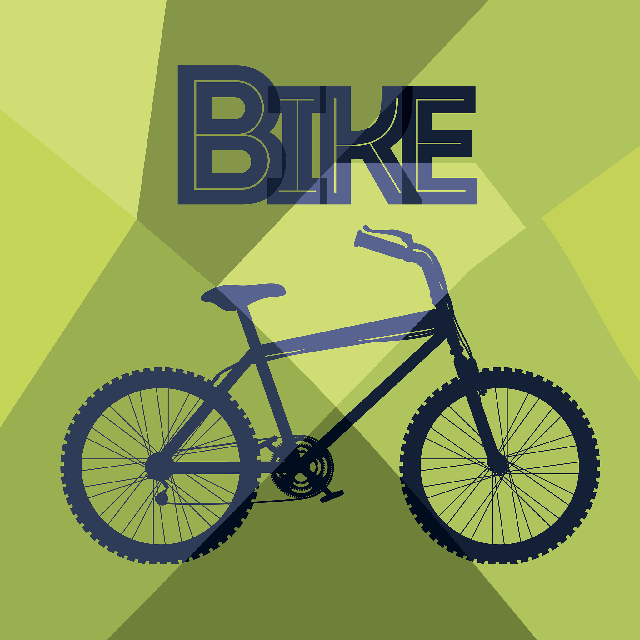 The Challenge of Shared Bicycle Vandalism: A 200-Word Essay