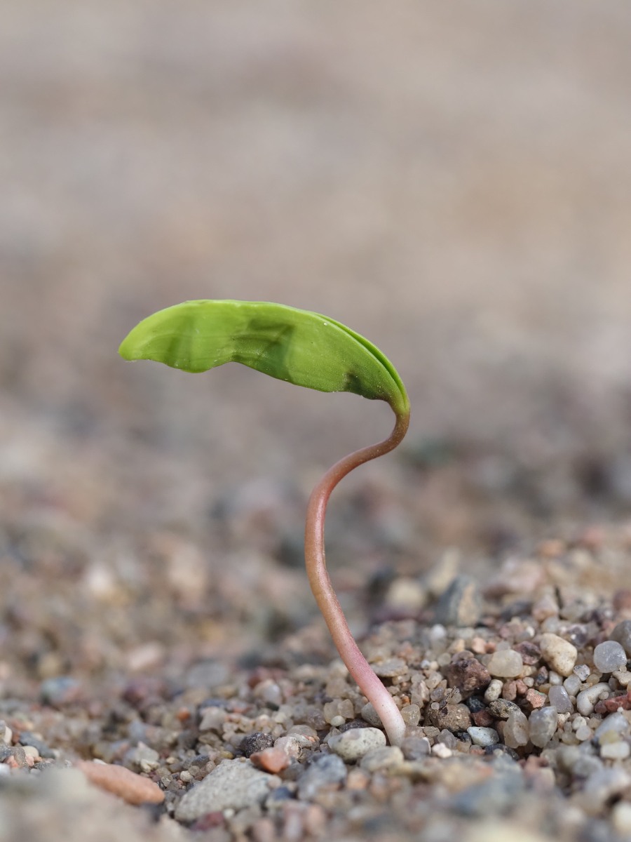 海南三亚一位健身房老板 在群里交代好后事,就果断地从高楼跳下自杀了