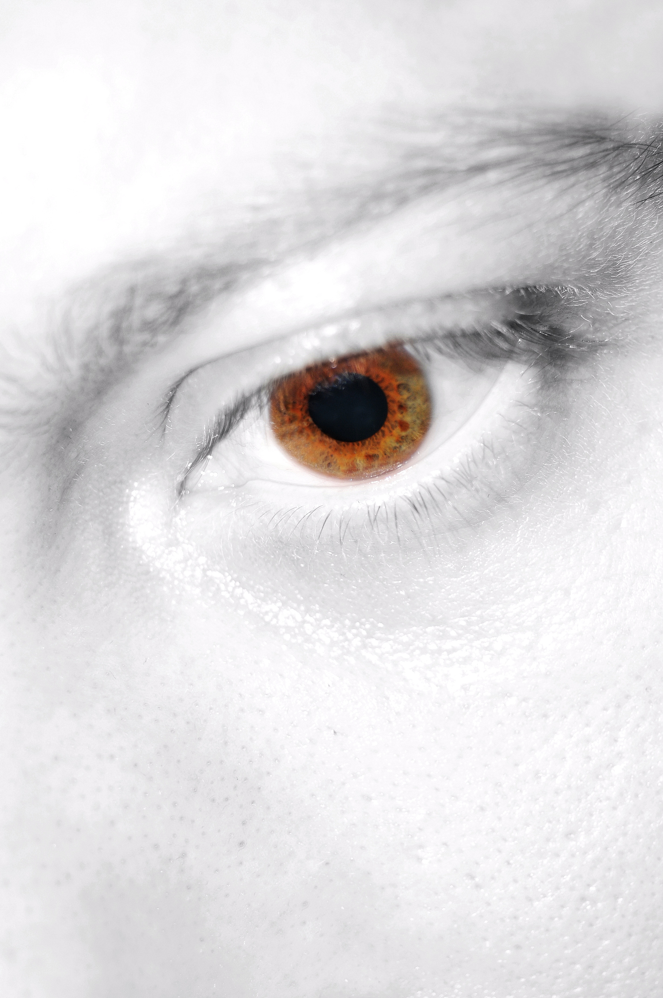 eye