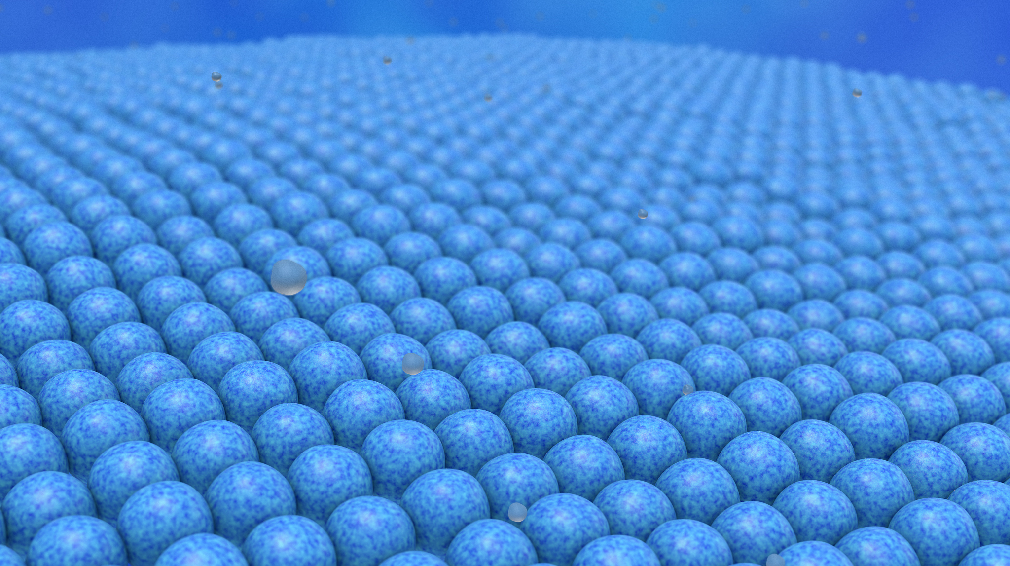 线粒体运输：机制、功能及与疾病的关系