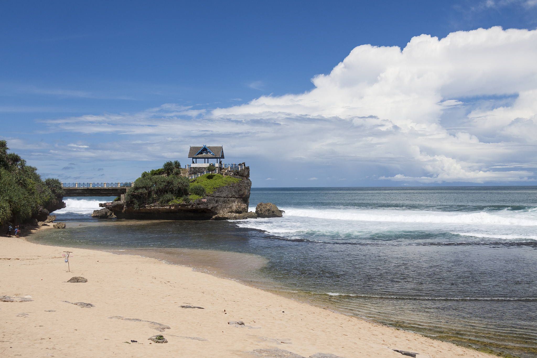world ocean day