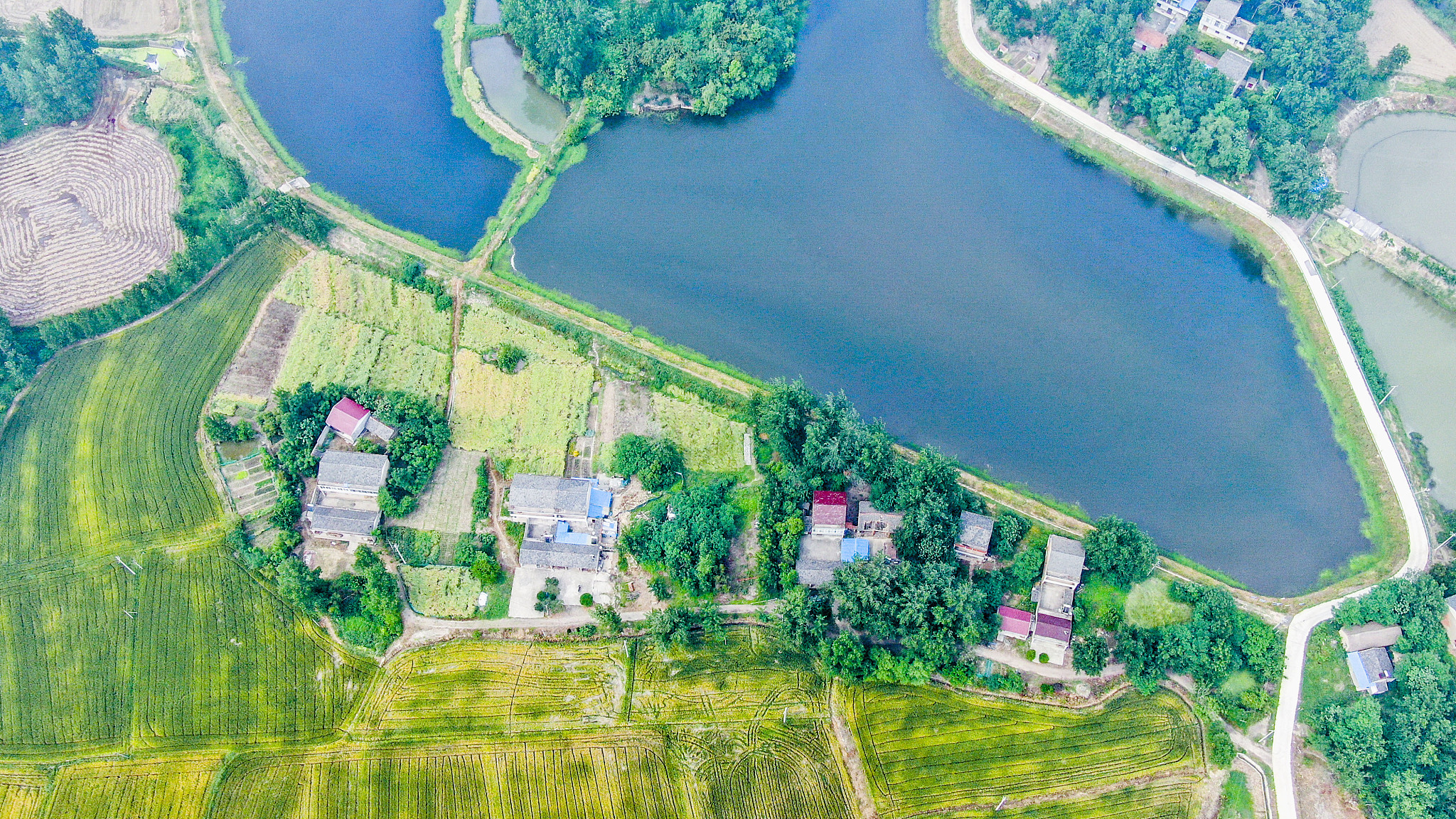 黎明觉醒：生机