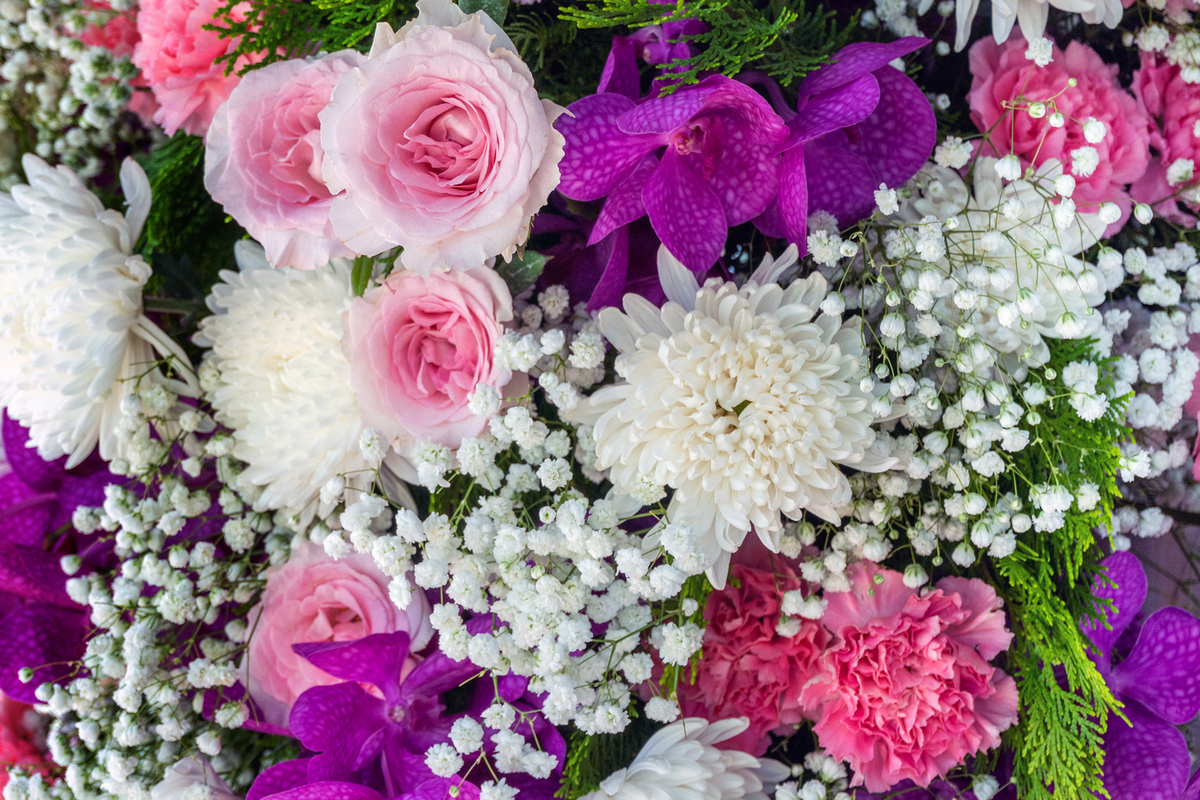 找200种植物能够表达真诚