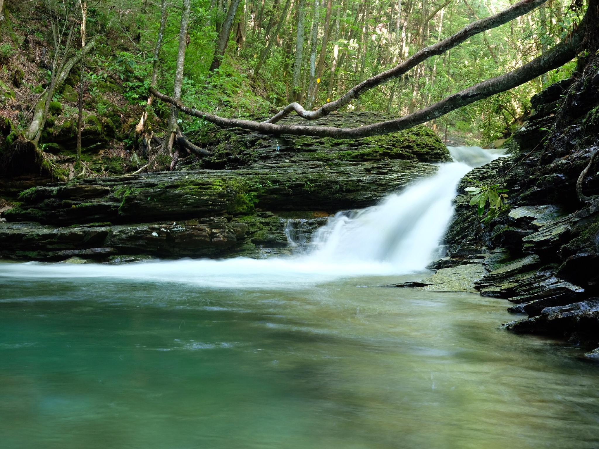 小游戏联运分成会区分广告流水和自然量流水吗