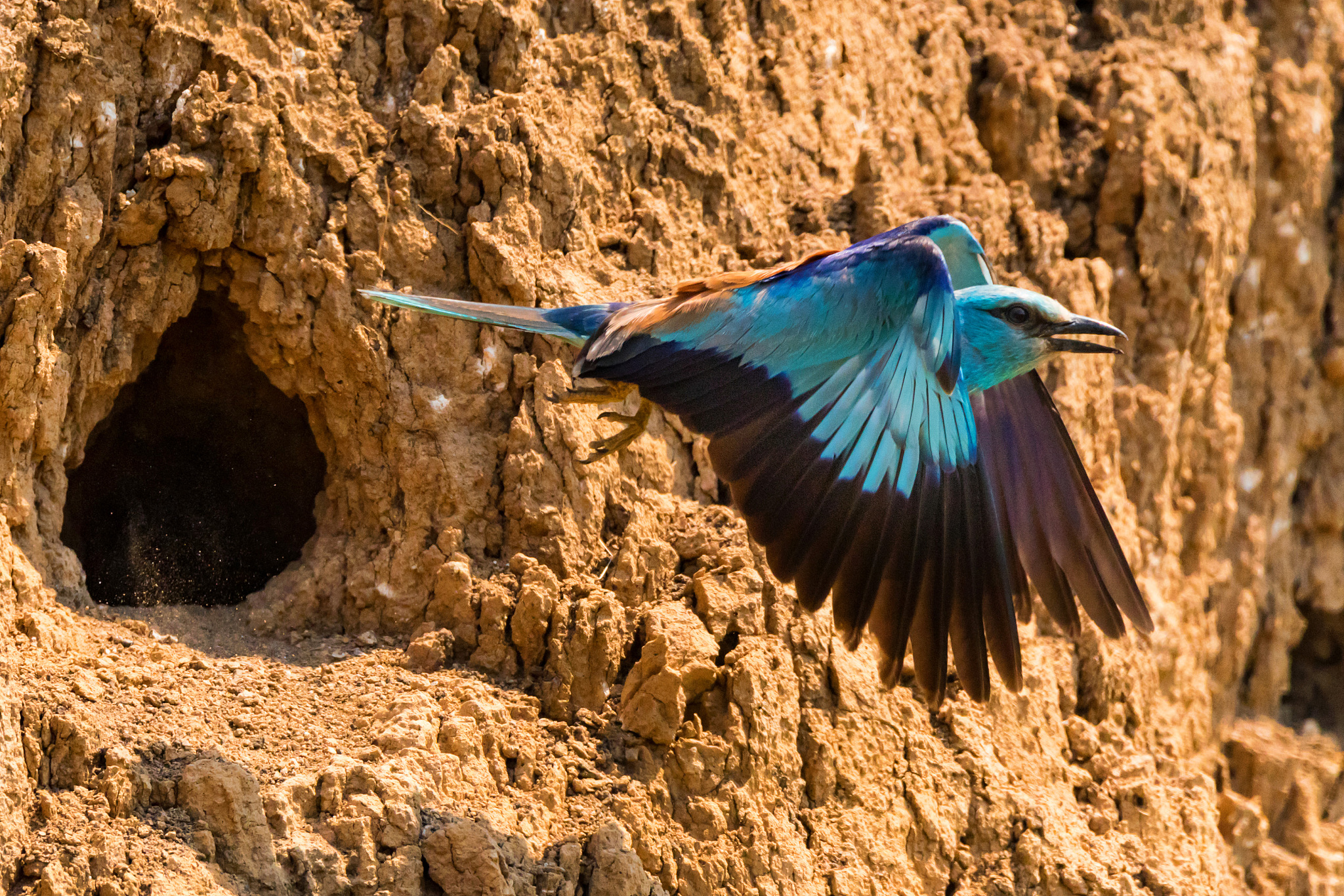 贵州省特殊教育专业学制是多久？是几年