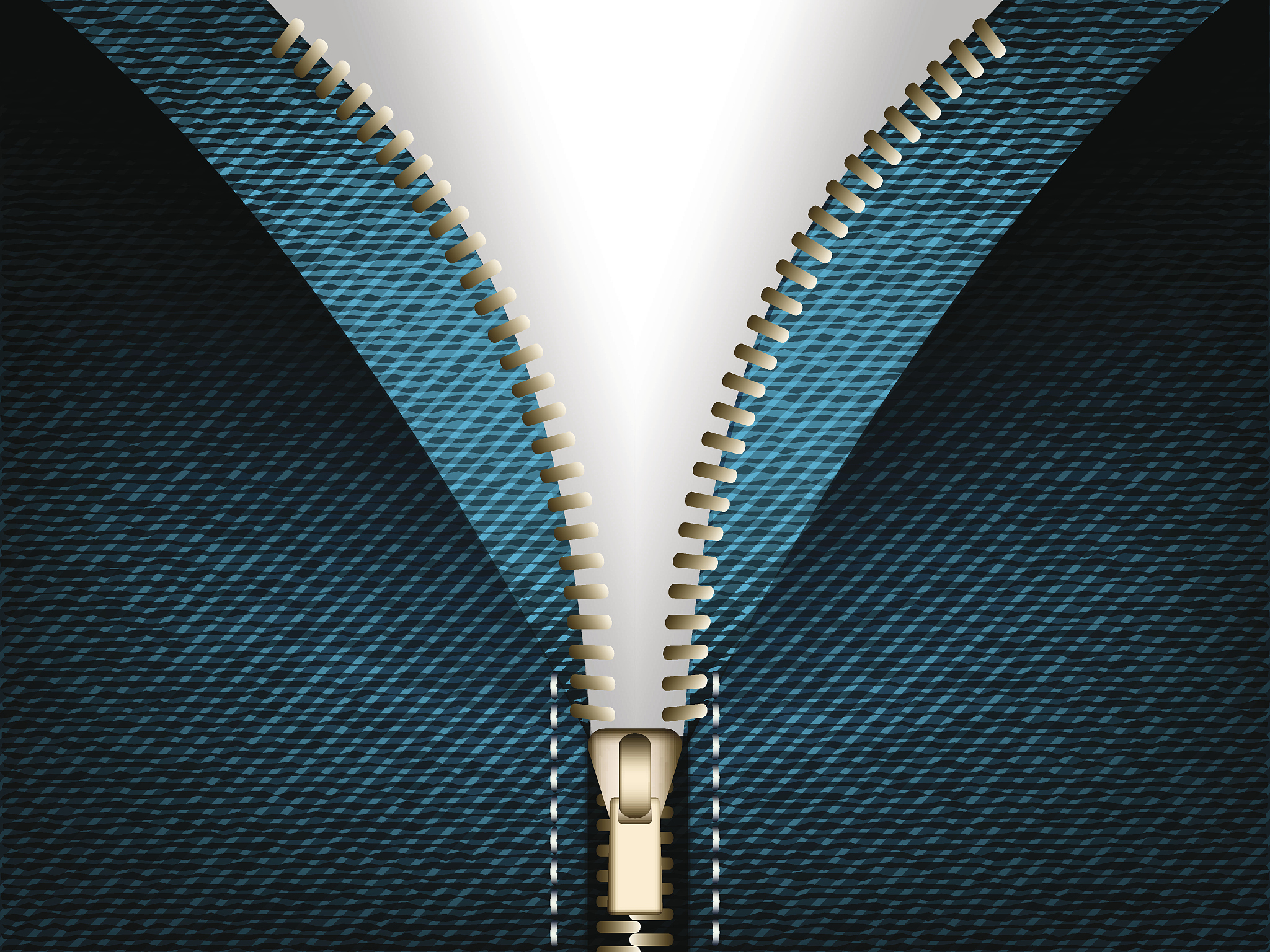 denim jeans open zipper vector part of clothes