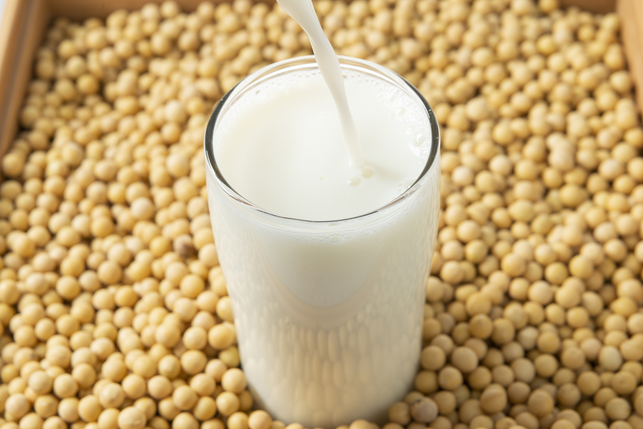 小学生豆浆知识问答：营养、制作、美食