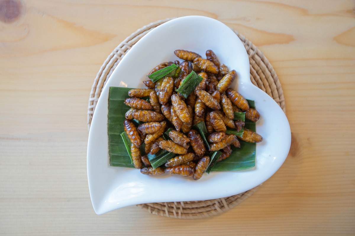 昆虫美食：营养价值、市场前景与环境意义