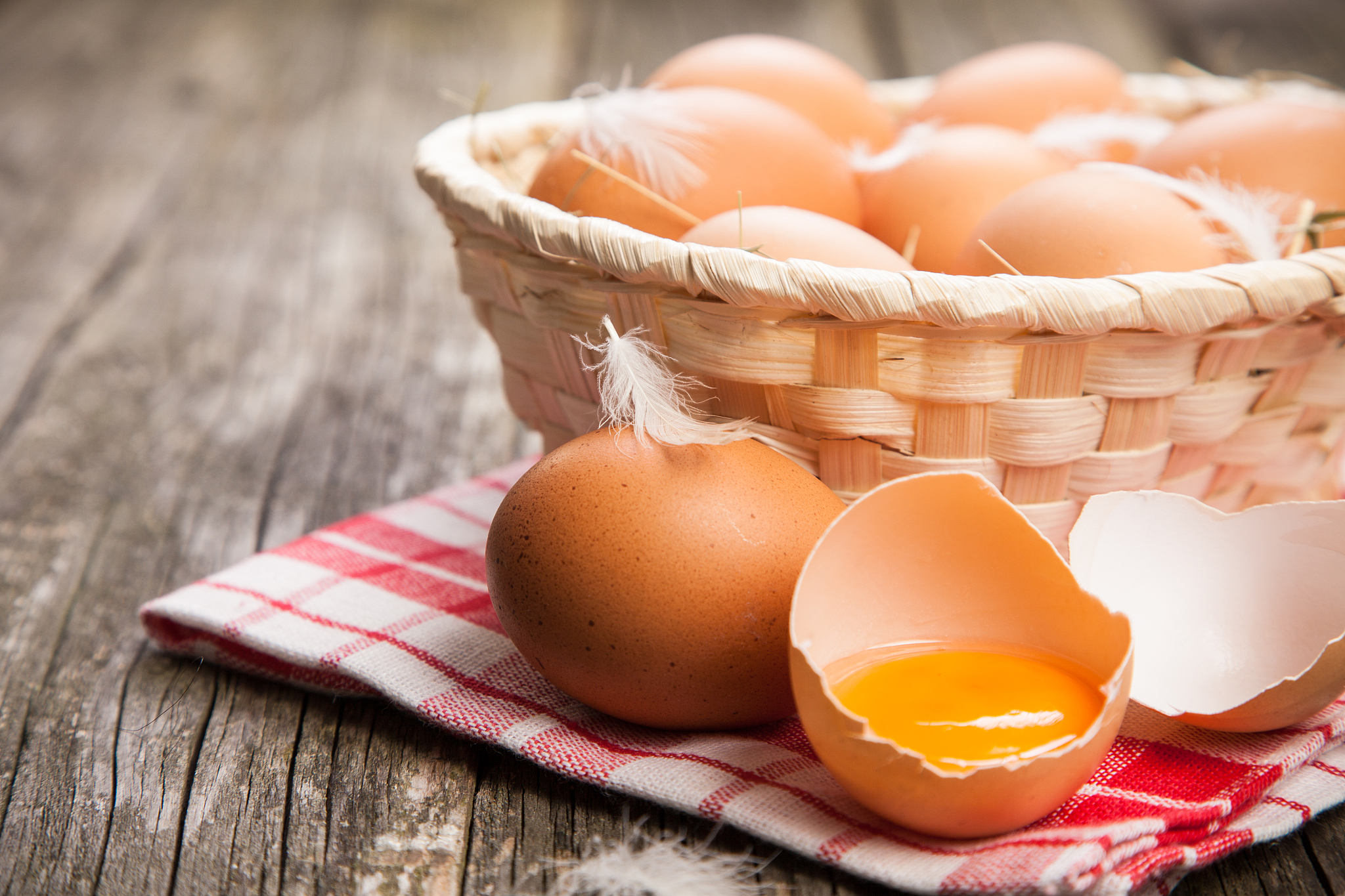 fresh organic eggs