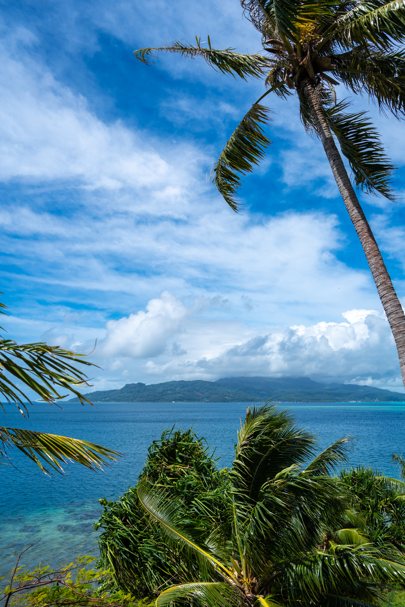 写篇标题为旅行让我看到了美丽的风景和人性的温暖 的1200字文章并重新取个小红书爆文标题