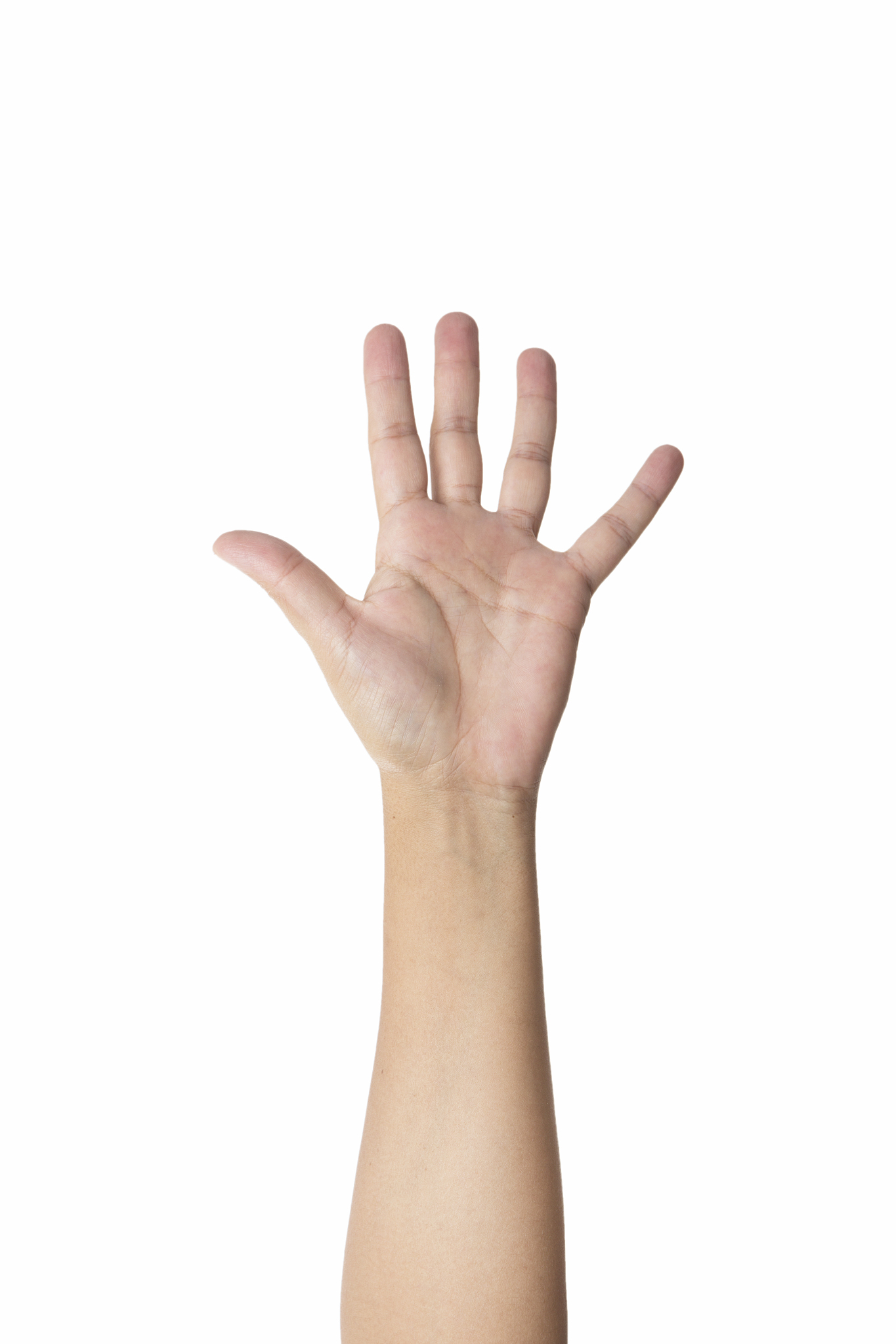 hand sign of number five