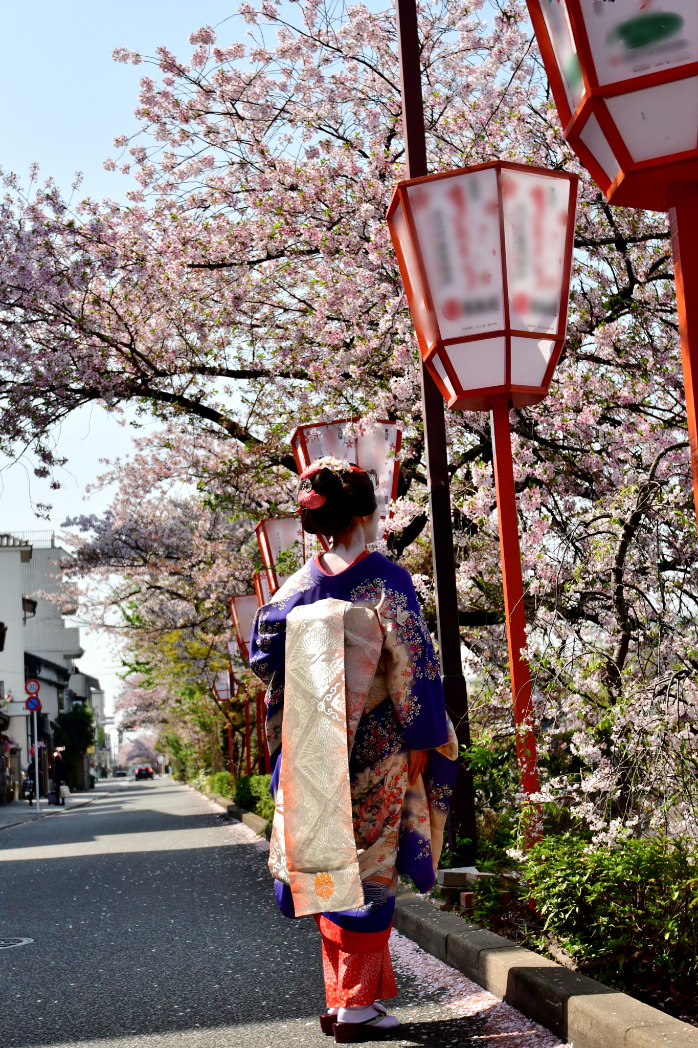 A Solo Trip to Japan: A Narrative of Exploration and Kindness